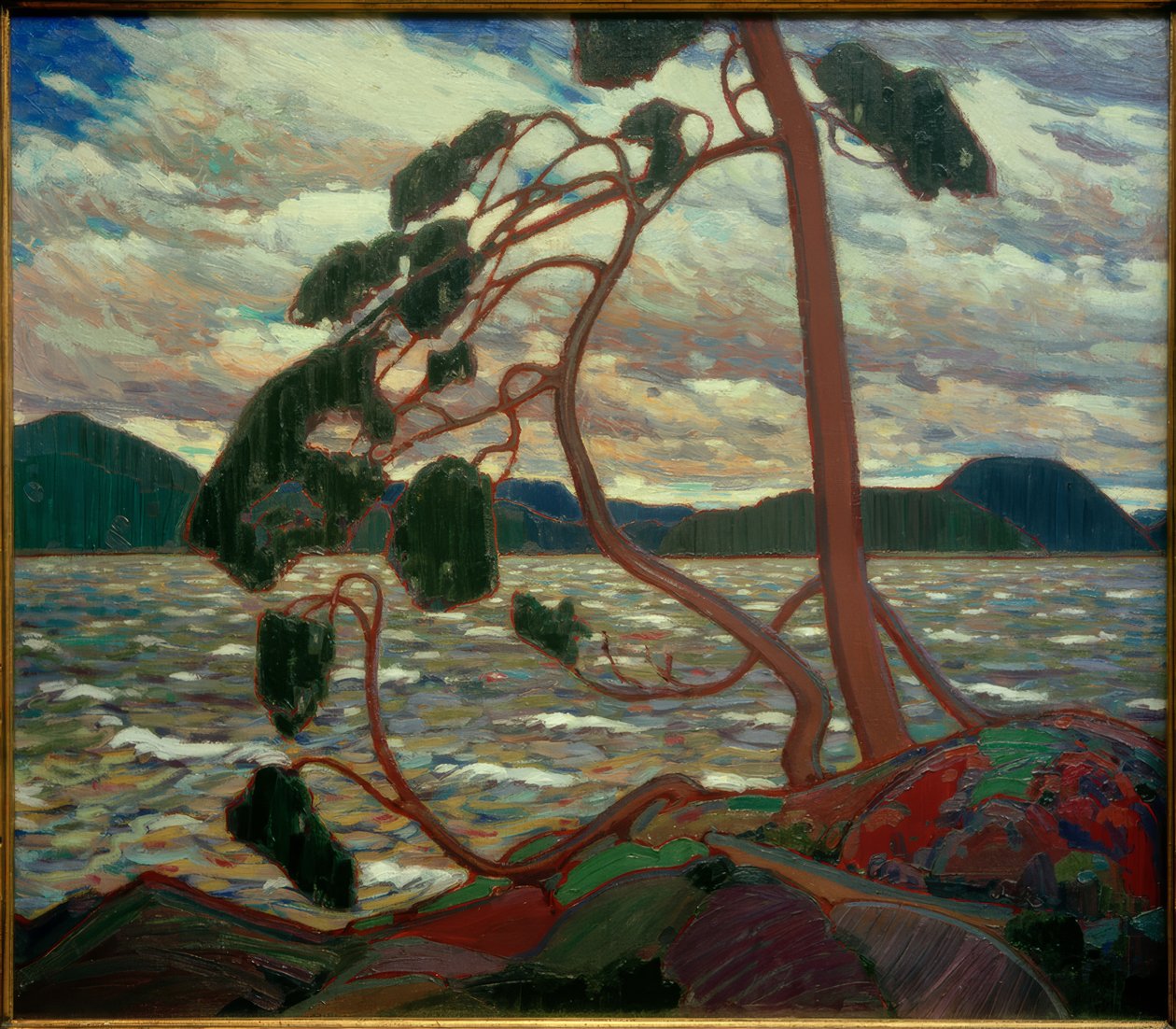 Západní vítr od Tom Thomson
