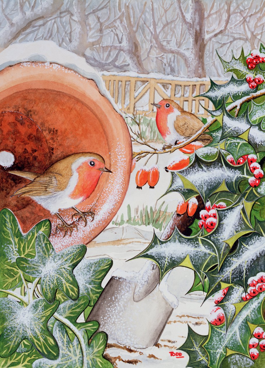 Christmas Robins (wc) od Tony Todd