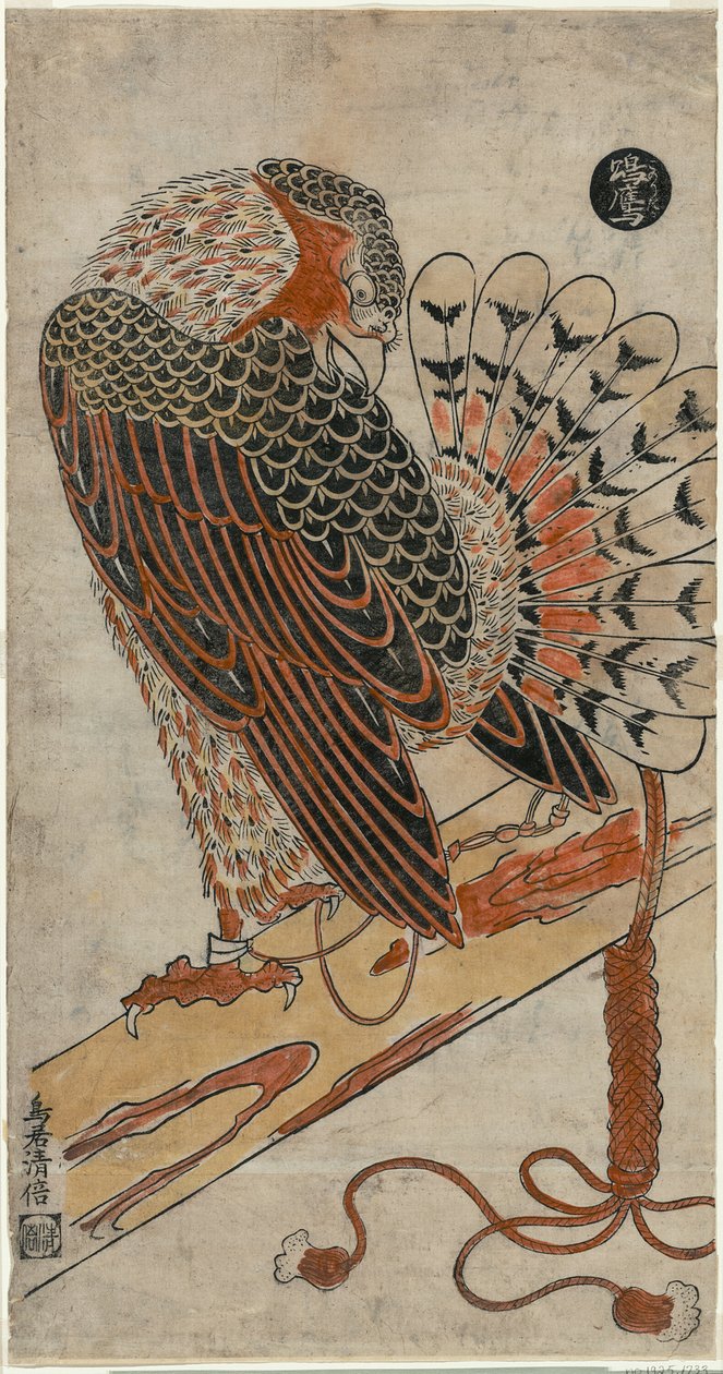 krahujec (Konori Taka) od Torii Kiyomasu I