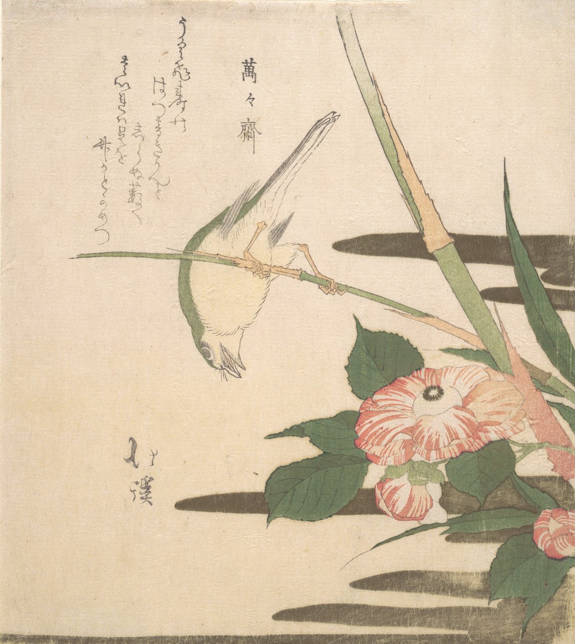 Pěnice a kamélie, ca. 1815-20. od Totoya Hokkei