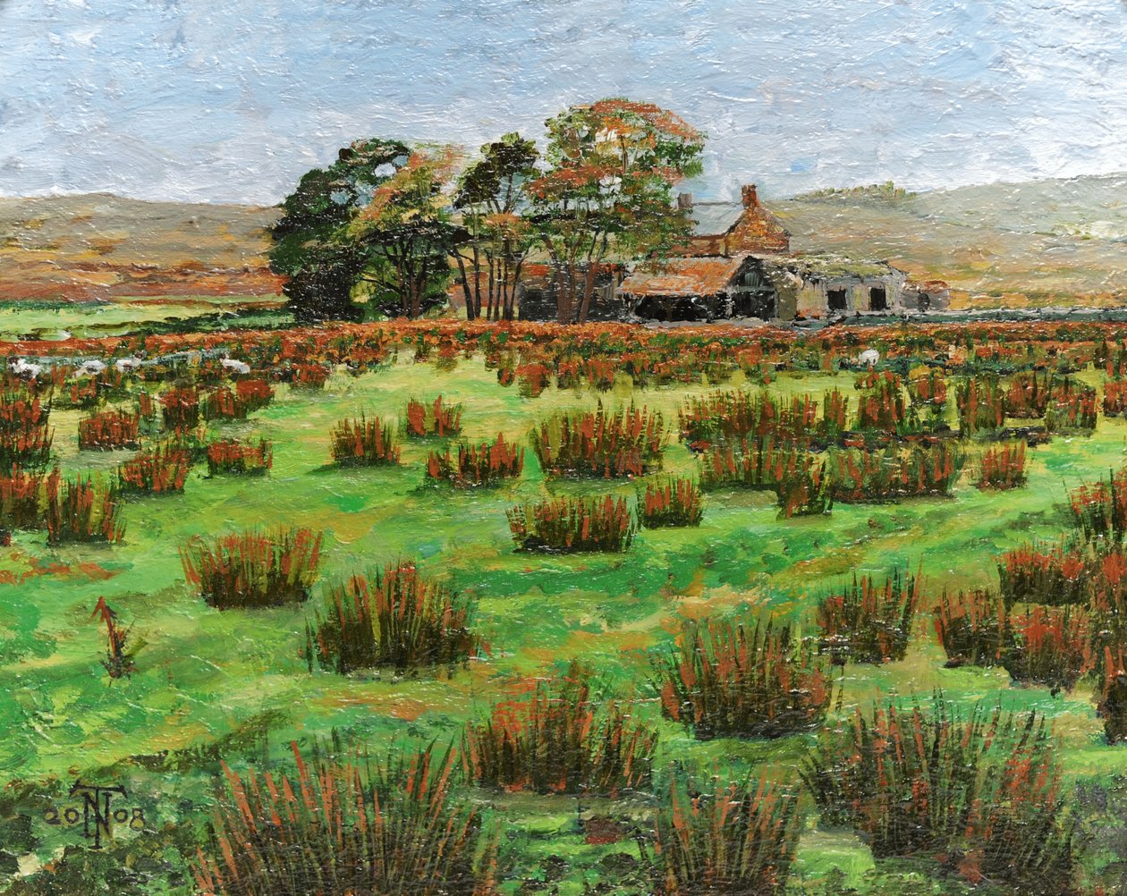 Farma Cumbria, 2008 od Trevor Neal