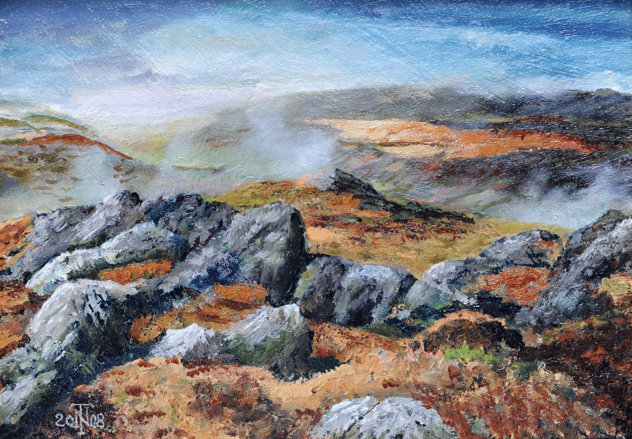 Langdales top, Cumbria, 2008 od Trevor Neal