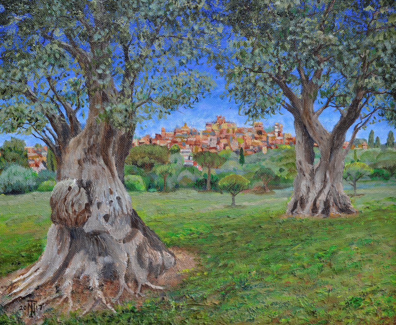 Pohled na Cagnes Sur Mer ze zahrady Renoirs, 2017 od Trevor Neal