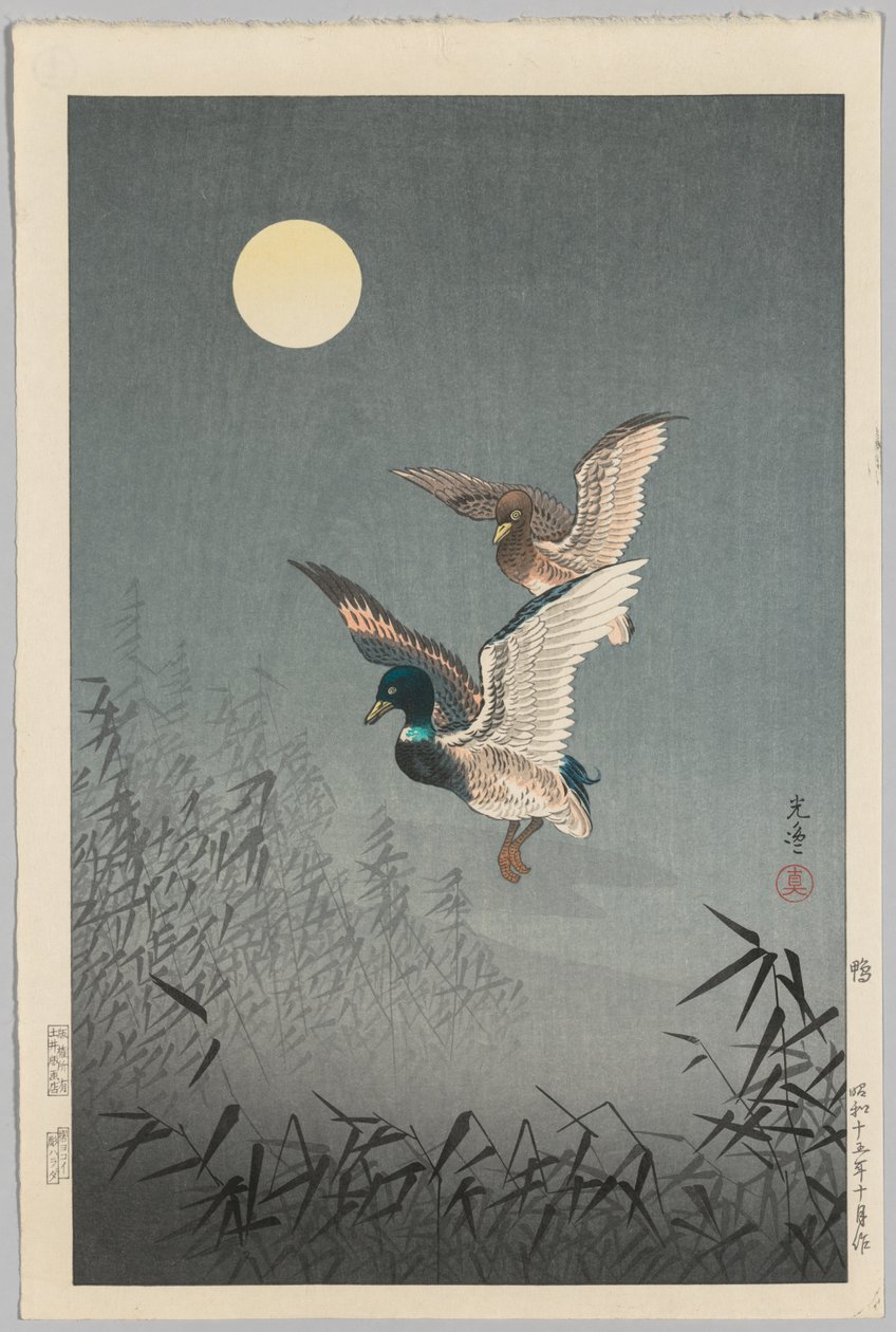 Pohledy na Tokio: Kachny od Tsuchiya Kōitsu