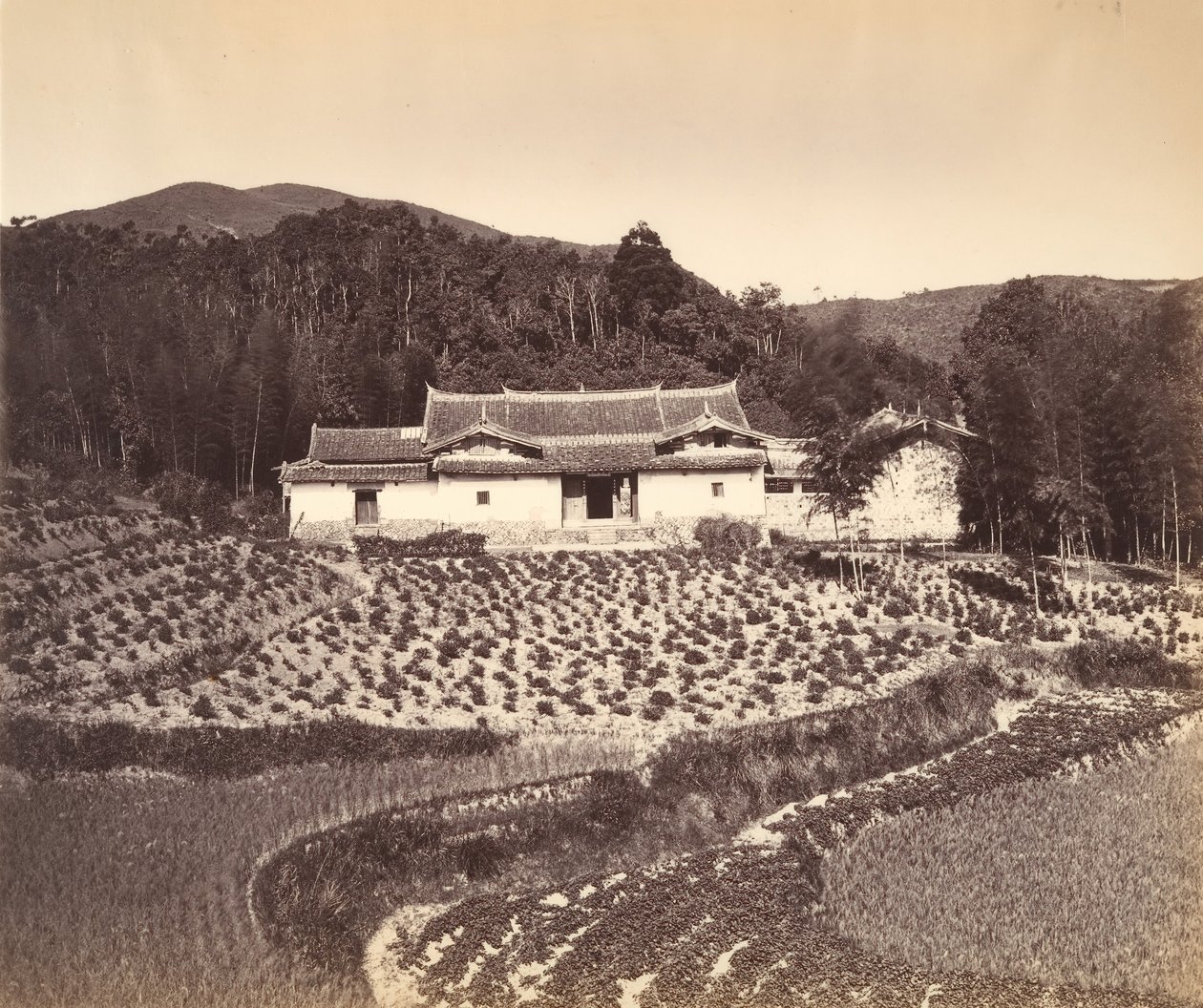 Teafield & Josshouse v Peling, ca. 1869. od Tung Hing.