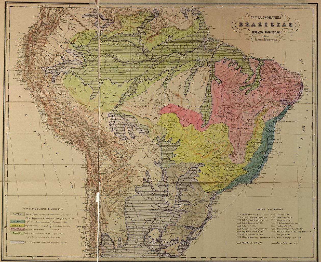 Martiusova mapa floristických provincií Brazílie od Unbekannt Unbekannt