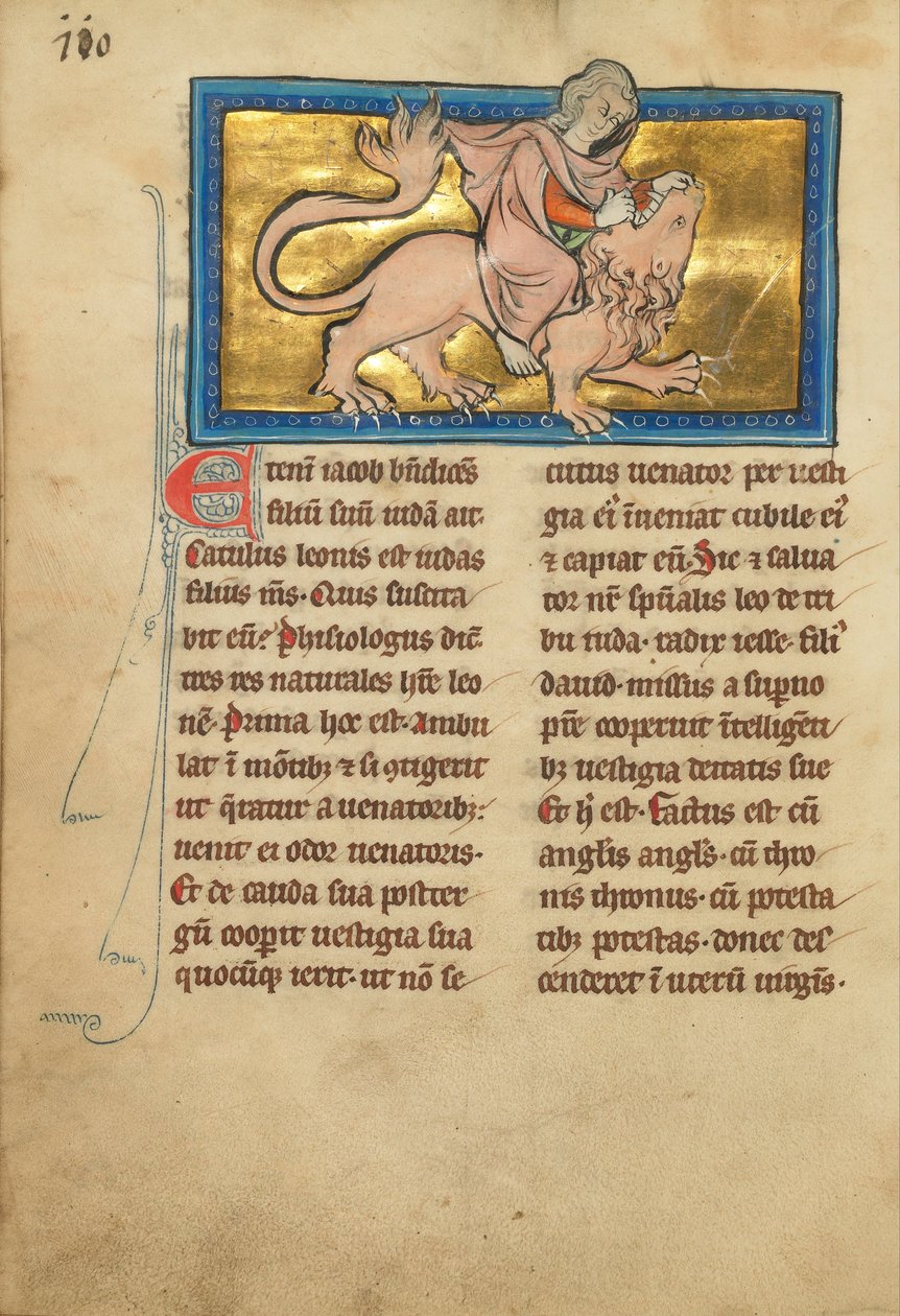 Samson Fighting a Lion (6805845) od Unbekannt Unbekannt