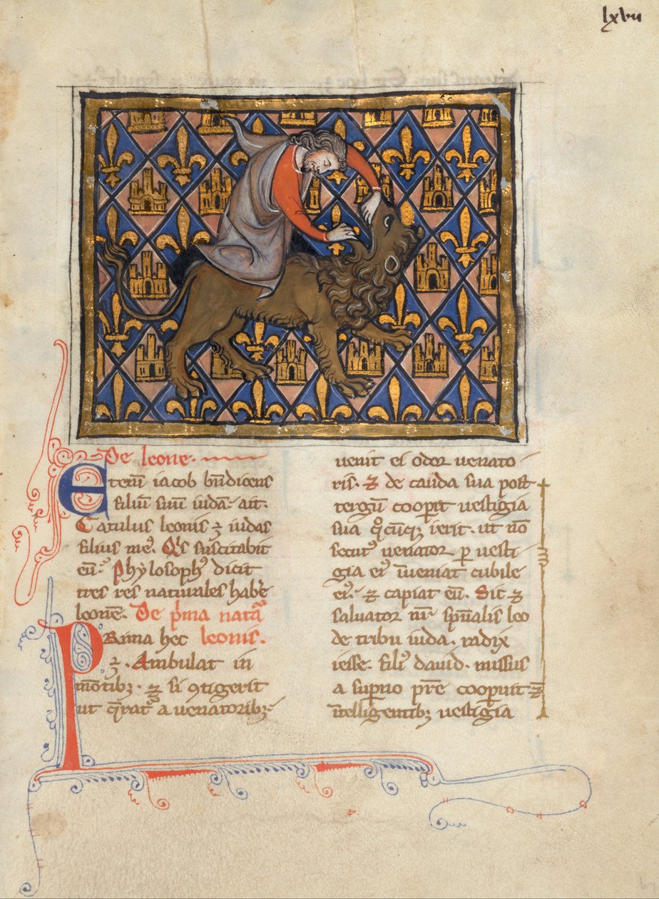 Samson Fighting a Lion od Unbekannt Unbekannt