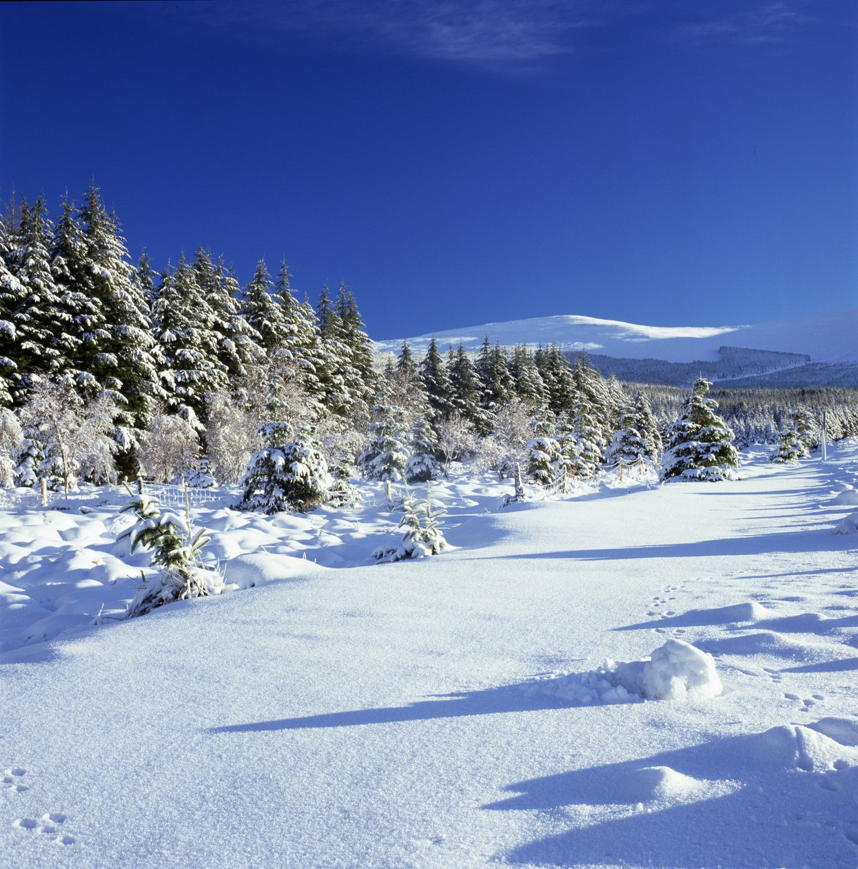 Wicklow Mountains v zimě od Unbekannt Unbekannt