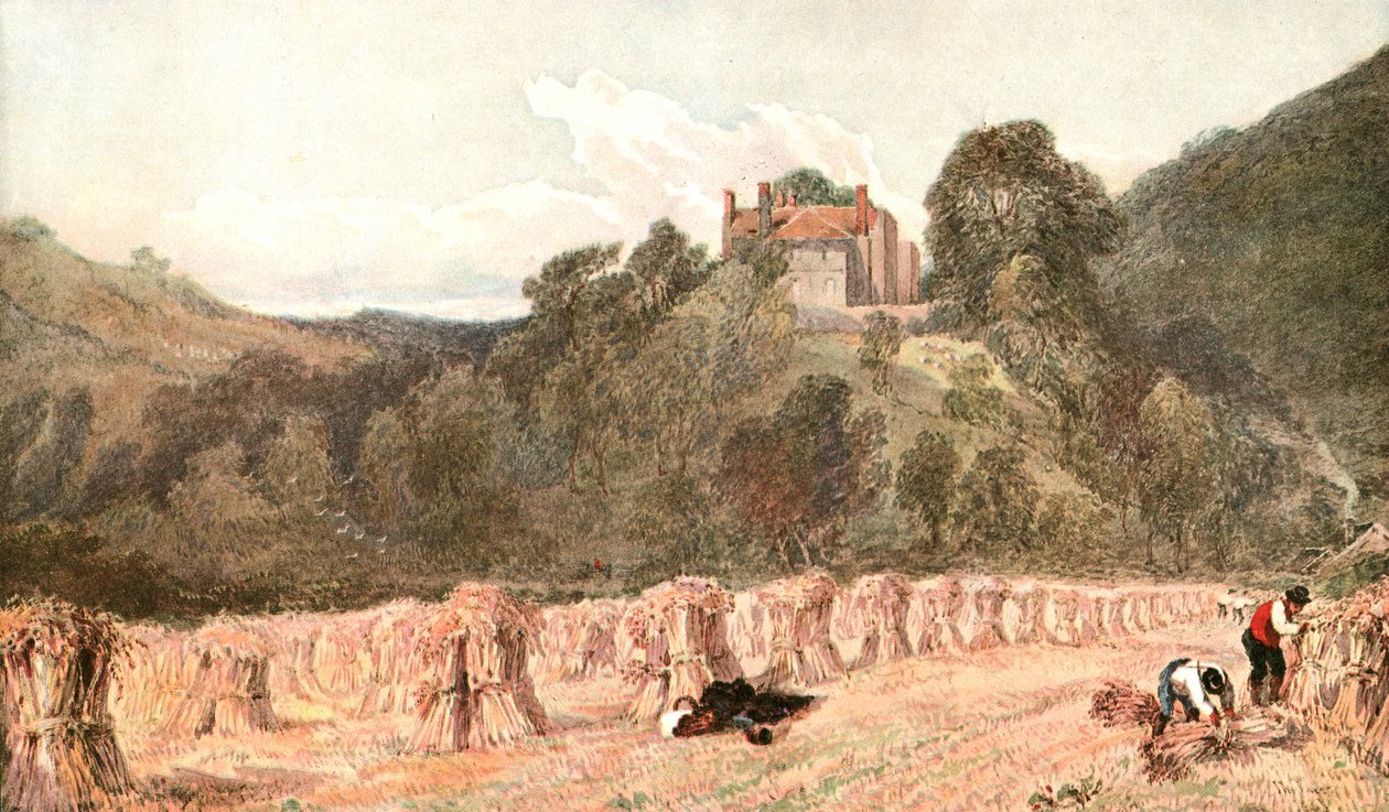Kukuřičné pole, c1840, c1900. od Unbekannt