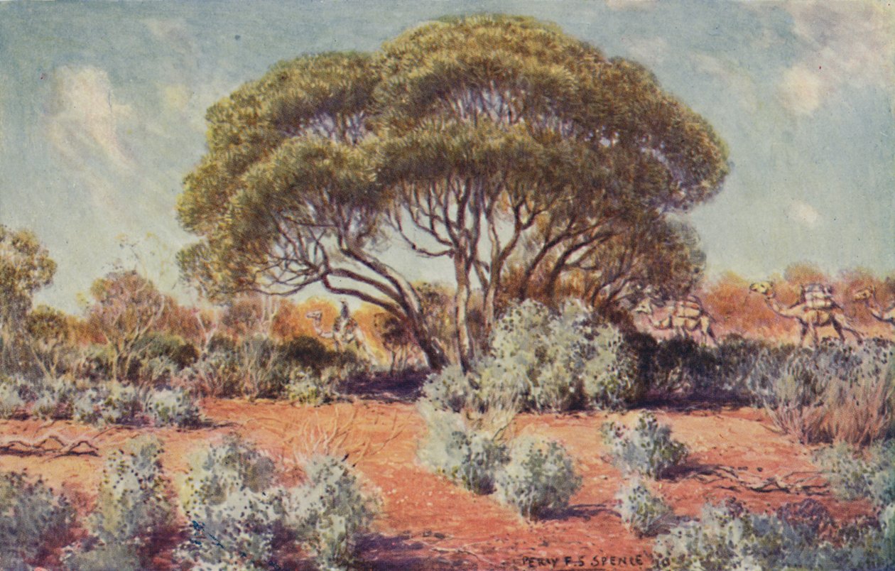 Úrodné místo ve střední Austrálii, 1923. od Unbekannt