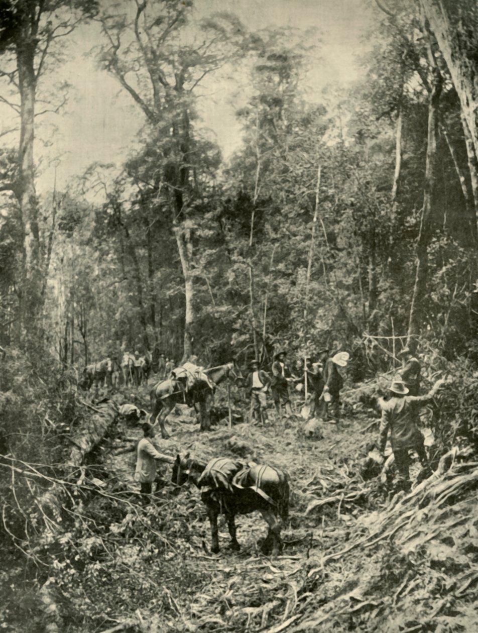 Drsná cesta, Tasmánie, 1901. od Unbekannt