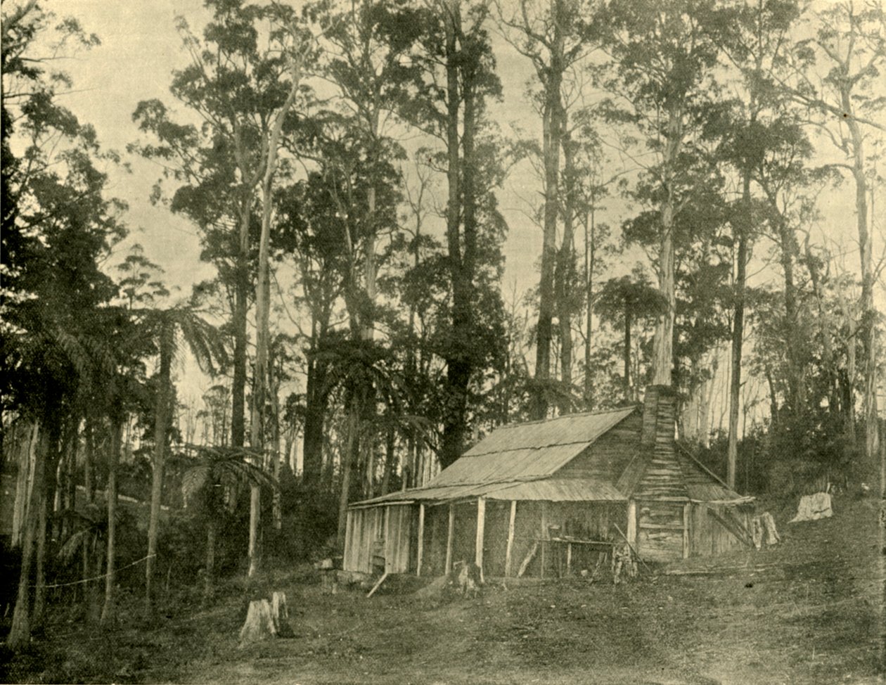 Rustikální obydlí, 1901. od Unbekannt