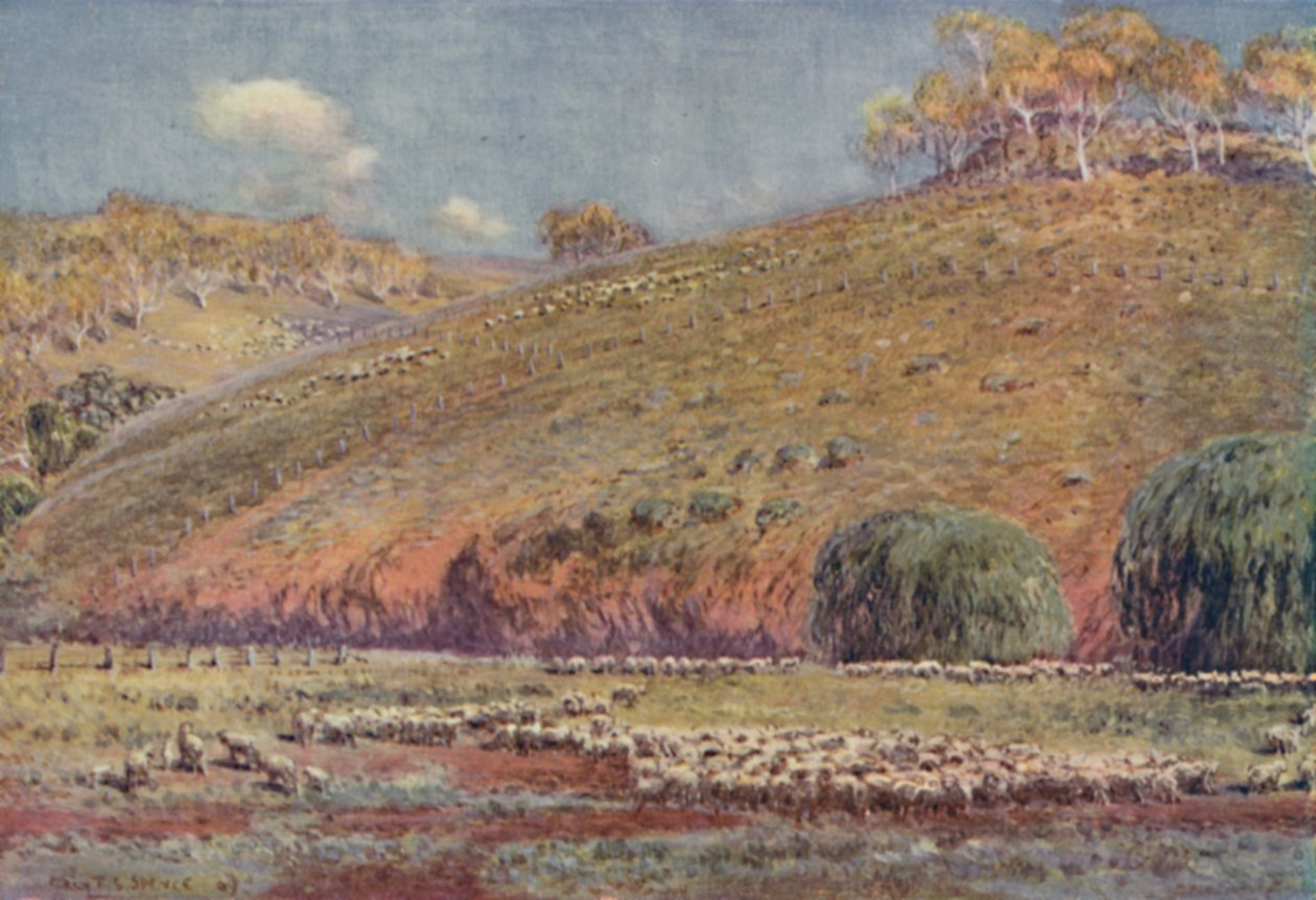 Výběh ovcí, 1923. od Unbekannt