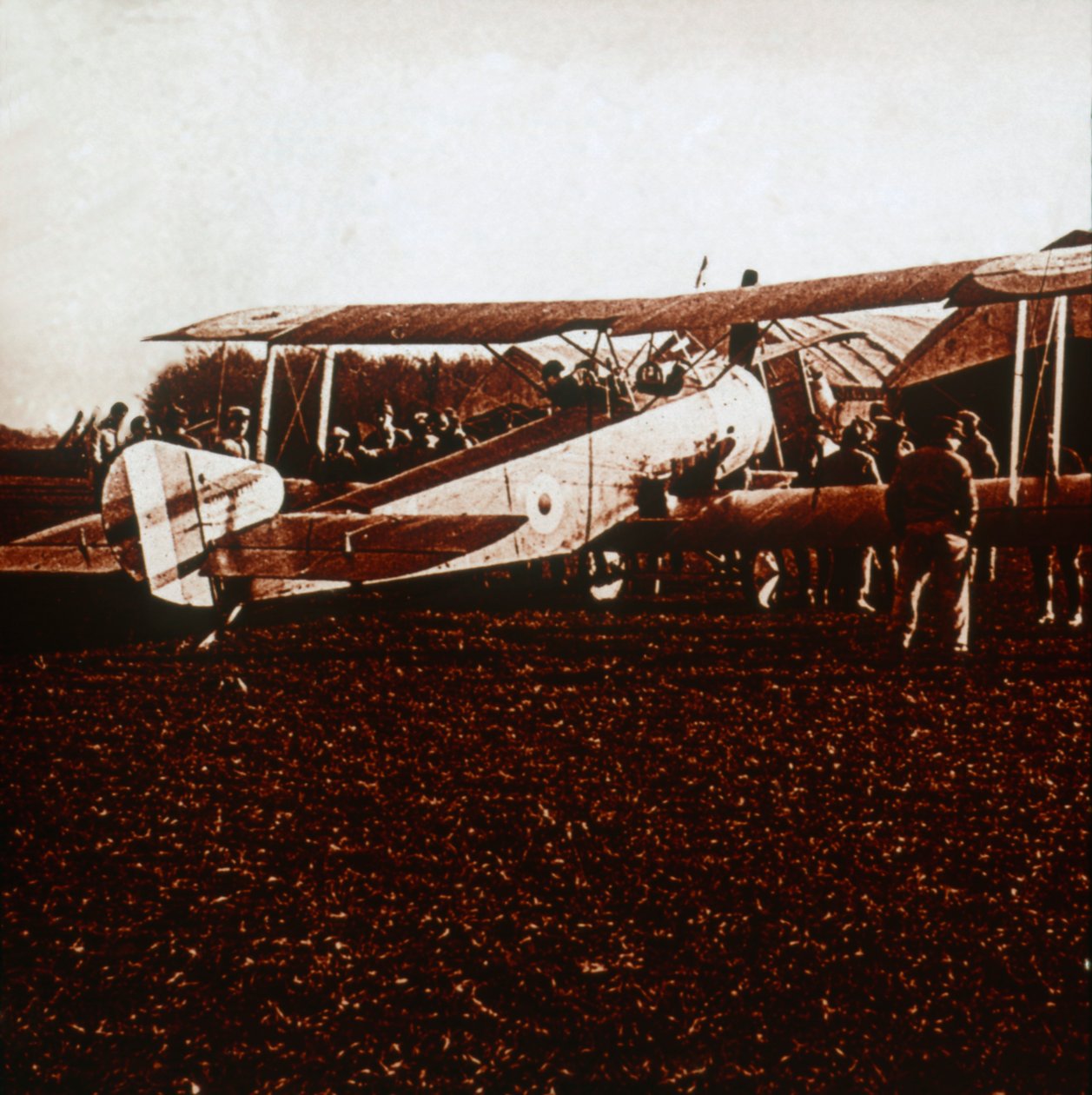 A Sopwith Camel, c1917-c1918 od Unbekannt