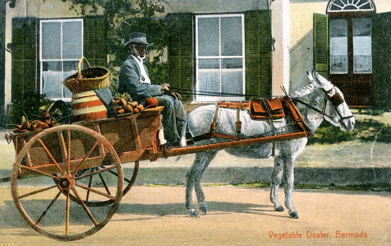 Prodejce zeleniny, Bermudy, c1900 od Unbekannt