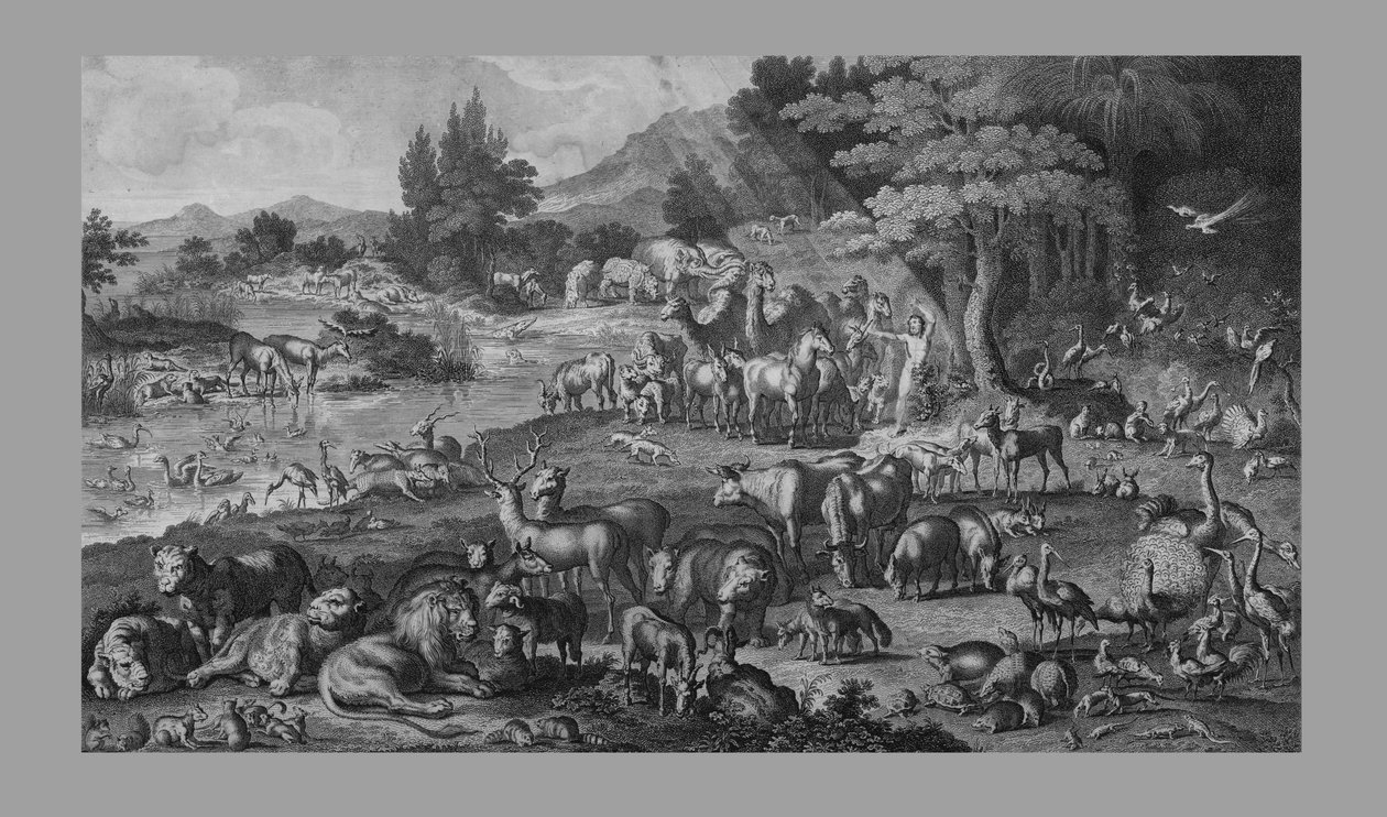 Adam pojmenoval stvoření, 1818. od Unbekannt