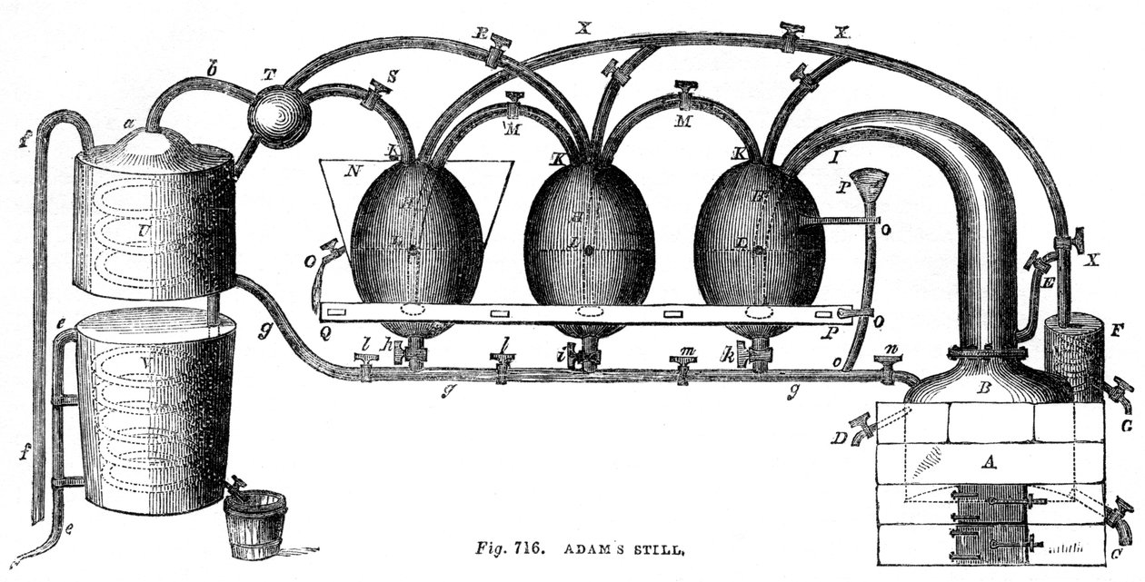 Adams stále, 1886 od Unbekannt