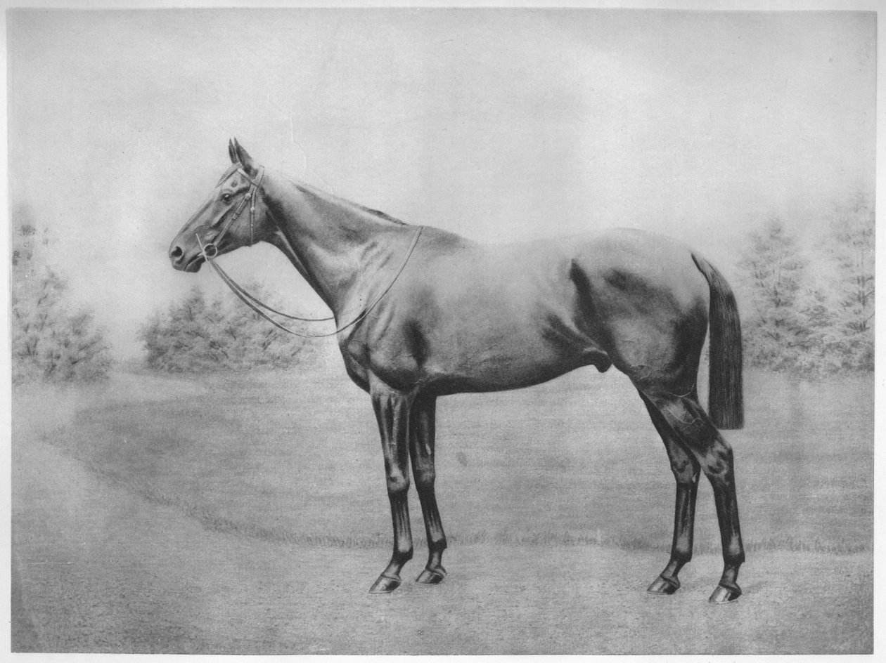 Admirál Togo III, 1911 od Unbekannt