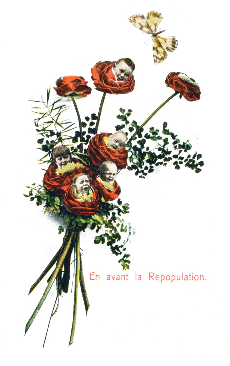 Ahead Repopulation, Francouzská pohlednice, c1900 od Unbekannt