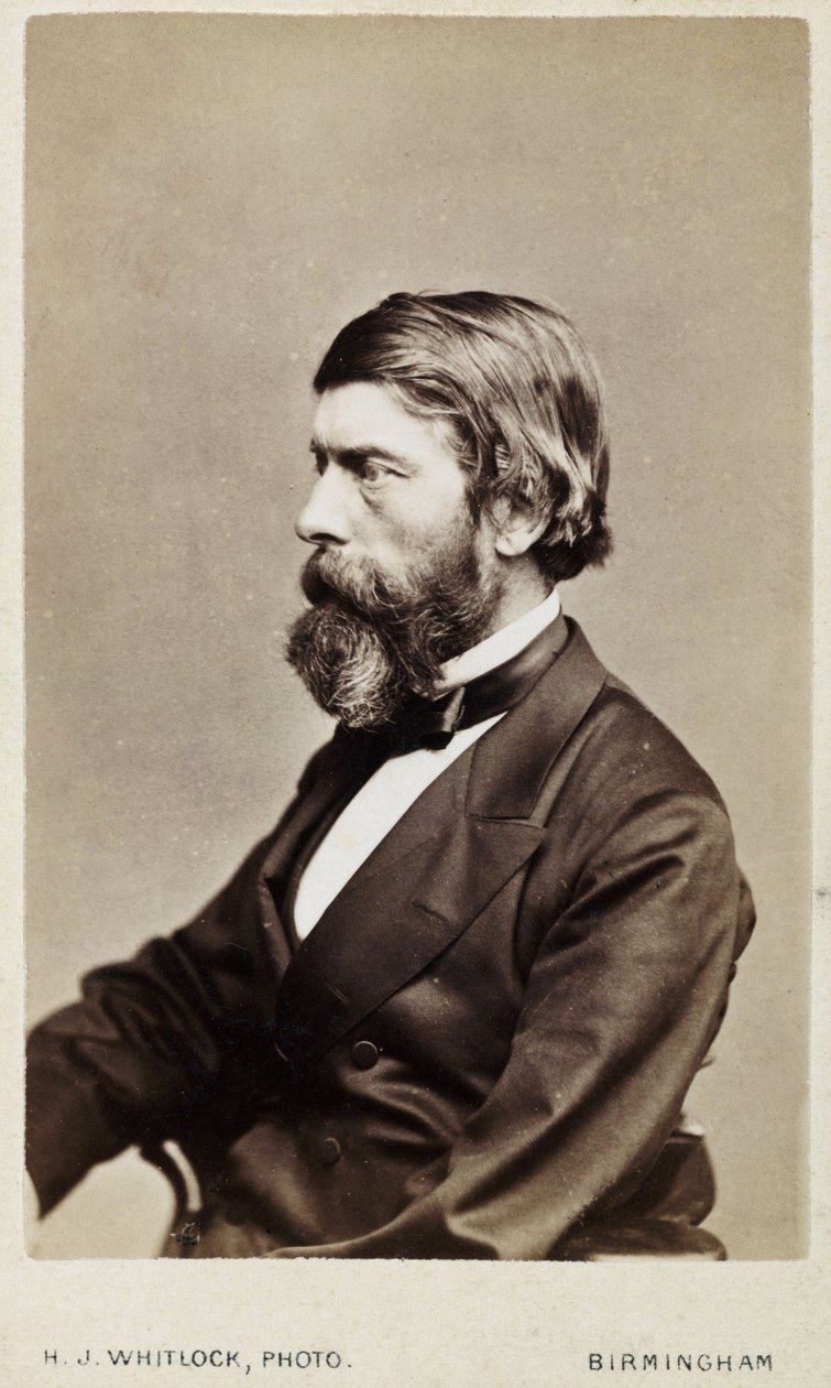 Alexander William Williamson, skotský chemik, c 1865 od Unbekannt