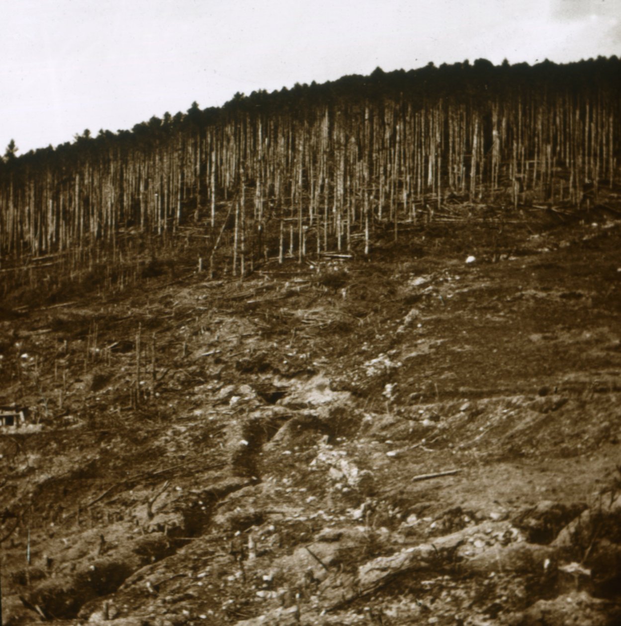 Alsasko, c1914-c1918 od Unbekannt