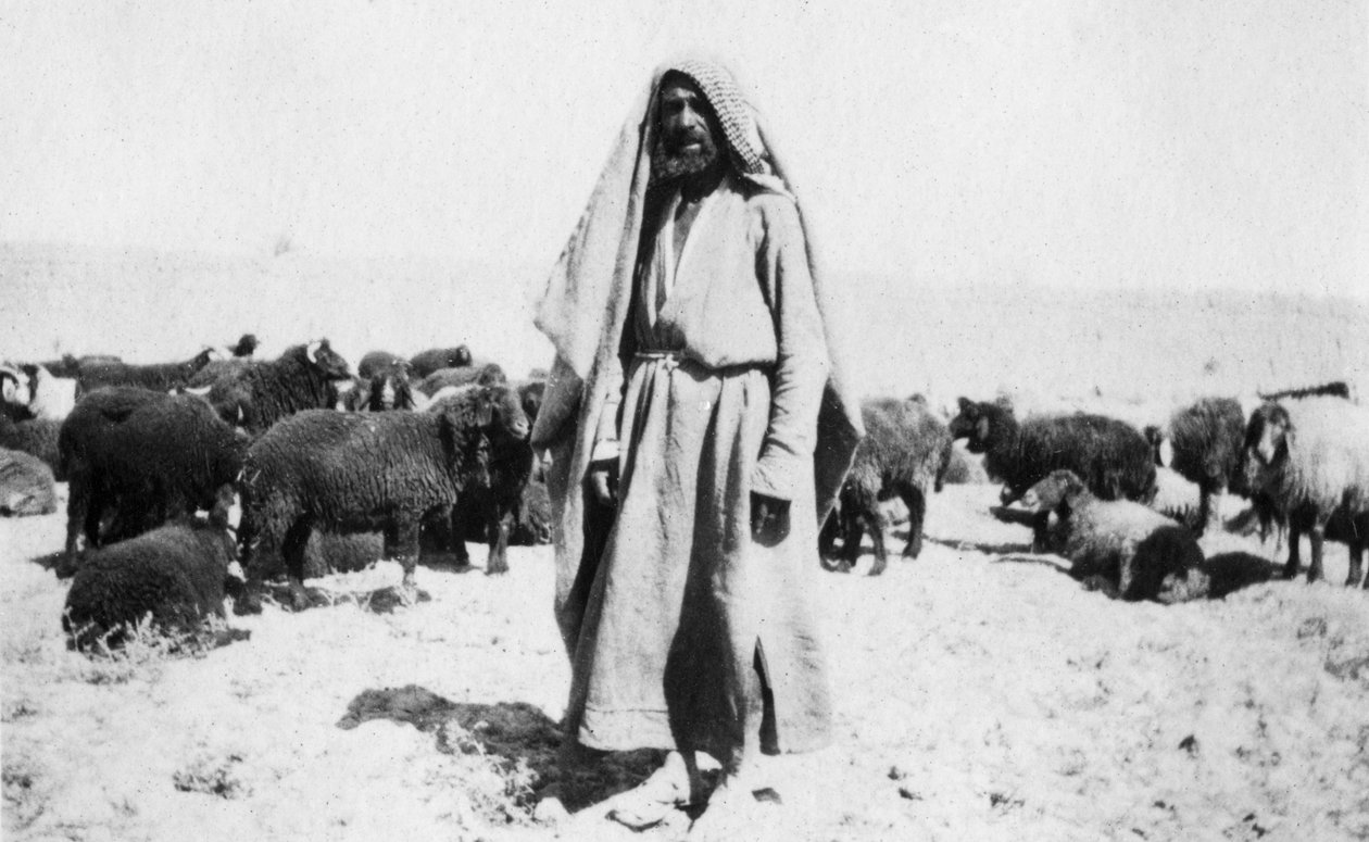 Arabský ovčák, oblast Kazimain, Irák, 1917-1919 od Unbekannt