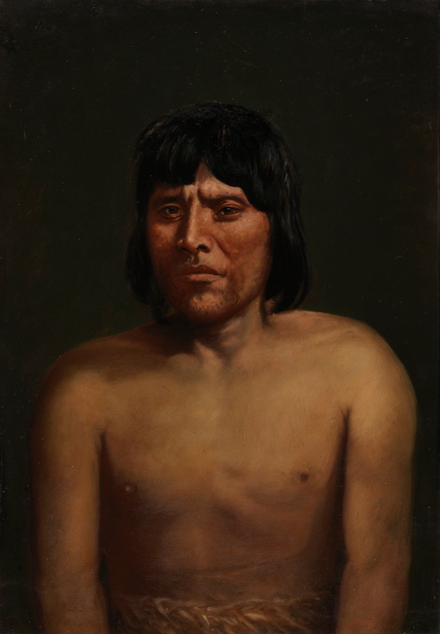 Araucanian Man, ca. 1890-1892. od Unbekannt