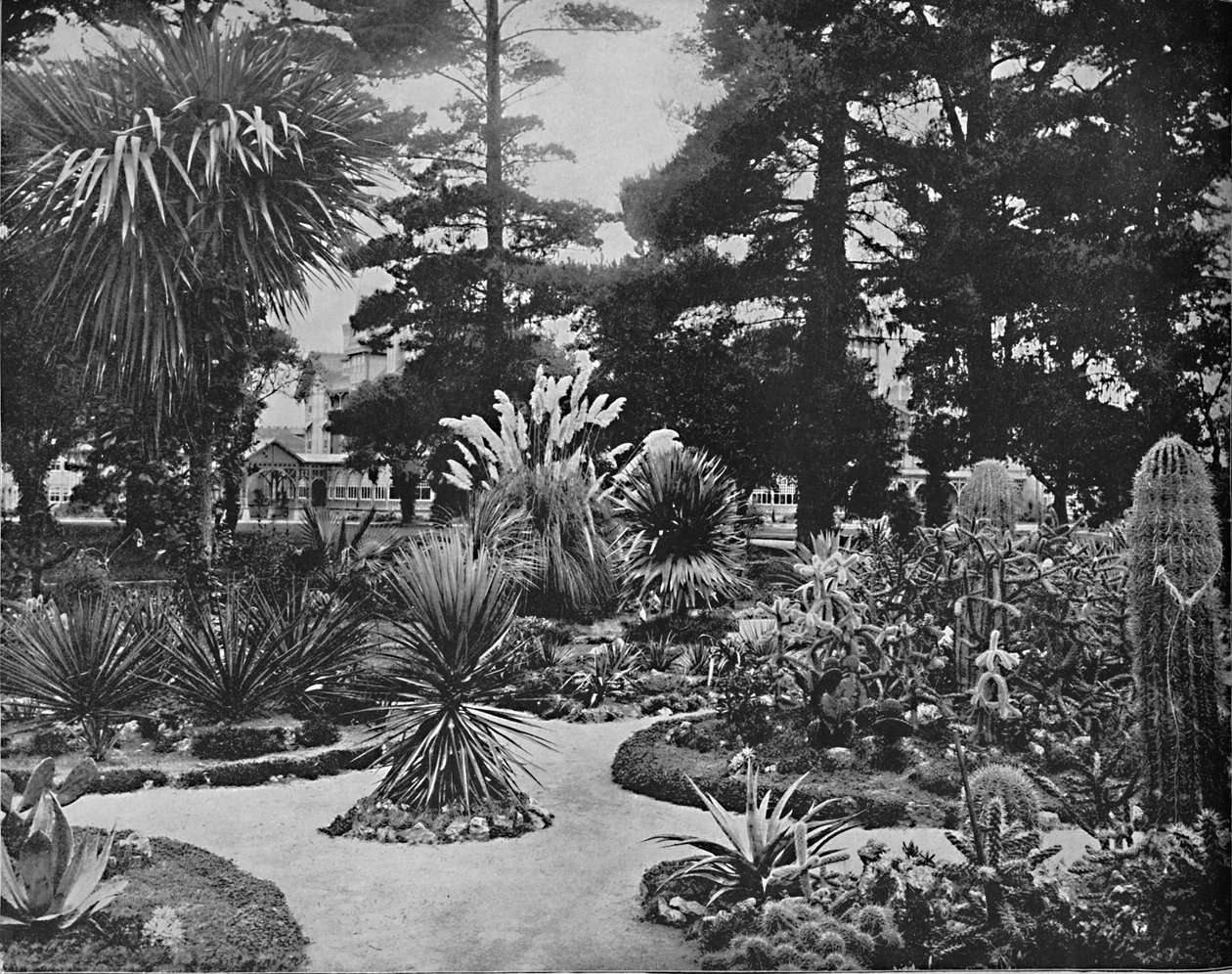 Arizonské zahrady. Monterey, Cal., c1897. od Unbekannt