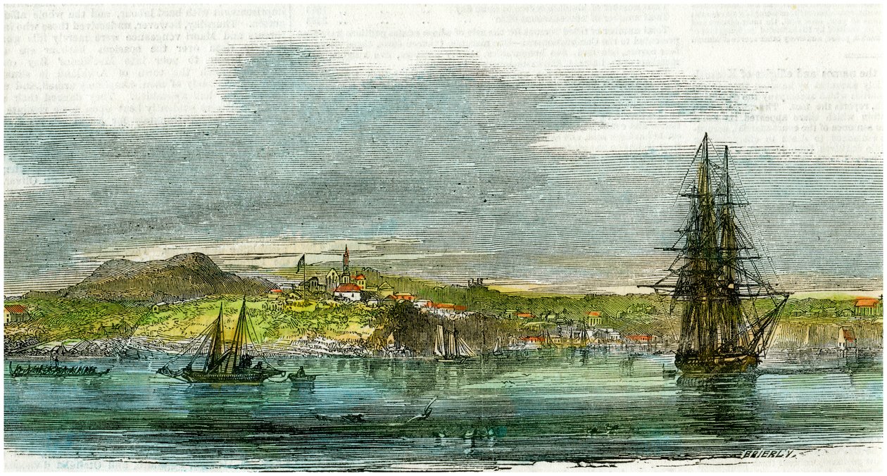 Auckland, Nový Zéland, c1880 od Unbekannt