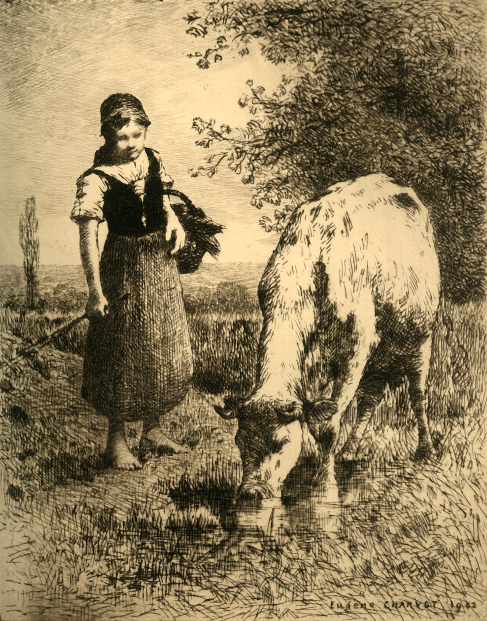 V polích, 1903. od Unbekannt