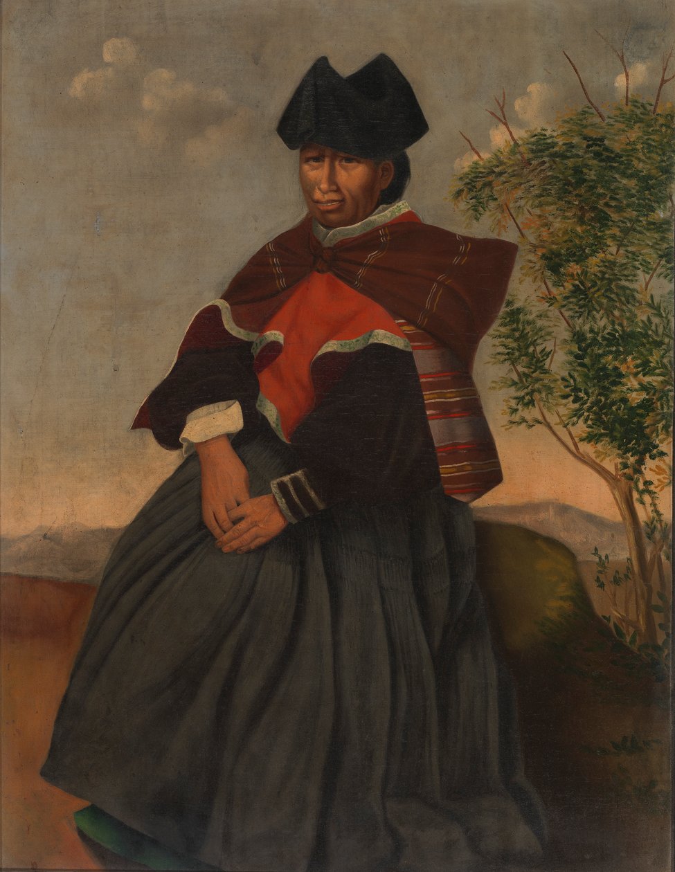 Aymara Woman, ca. 1890-1892. od Unbekannt