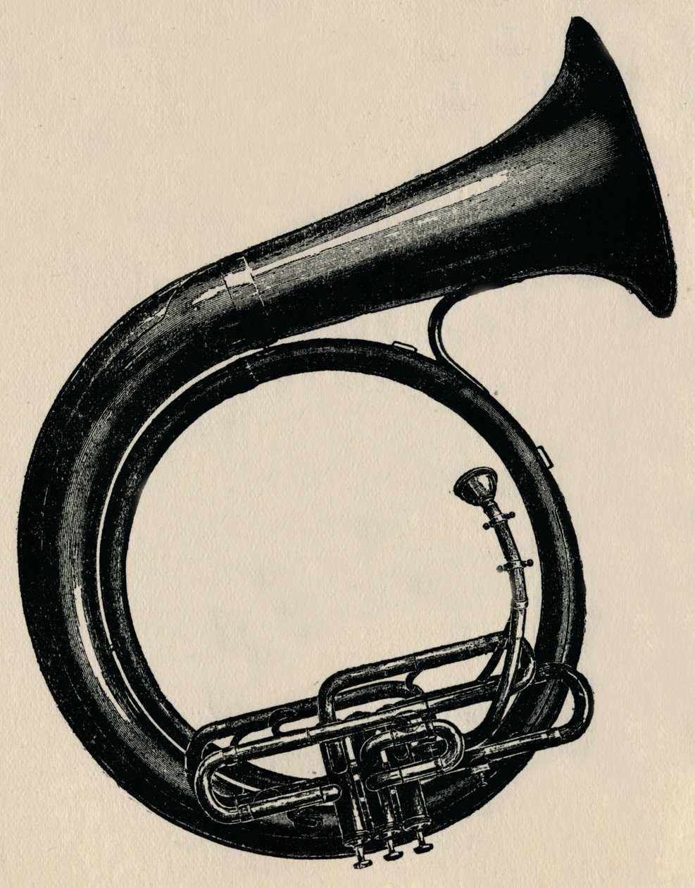 BB Circular Bass, 1910. od Unbekannt
