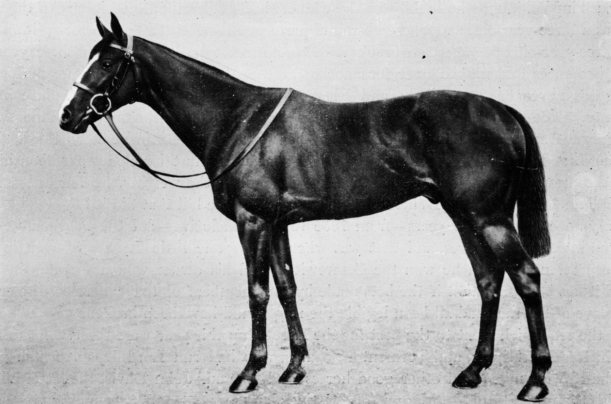 Bakaláři Double, 1911 od Unbekannt