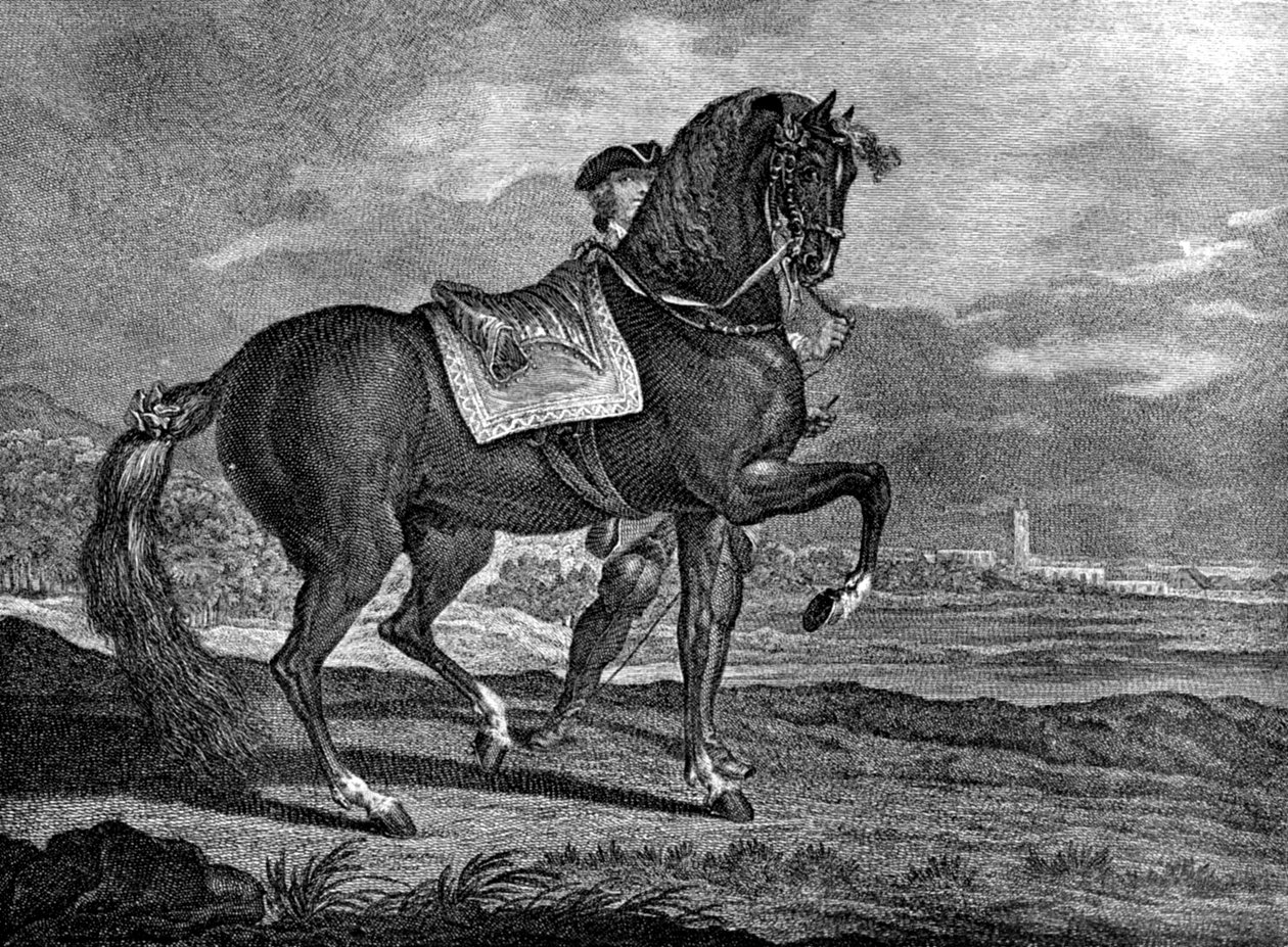 Barb, 1722 1938 od Unbekannt