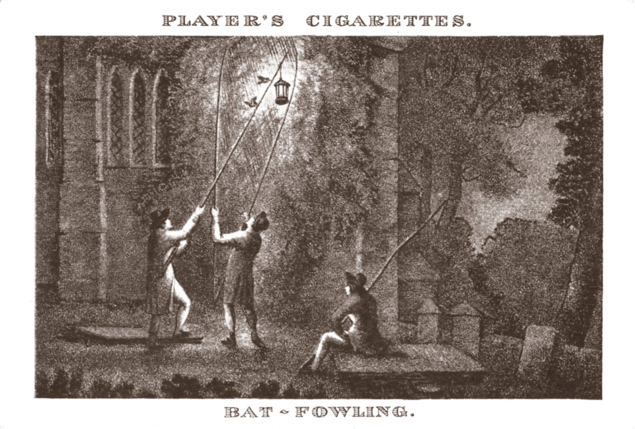 Bat-Fowling, 1924. od Unbekannt