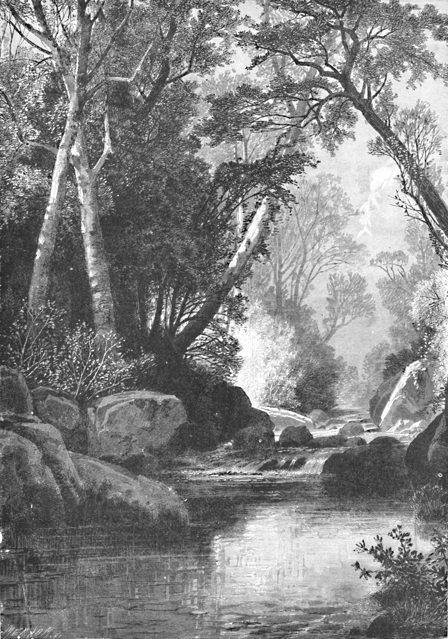 Bear River, poblíž Bethel, Maine, 1883 od Unbekannt