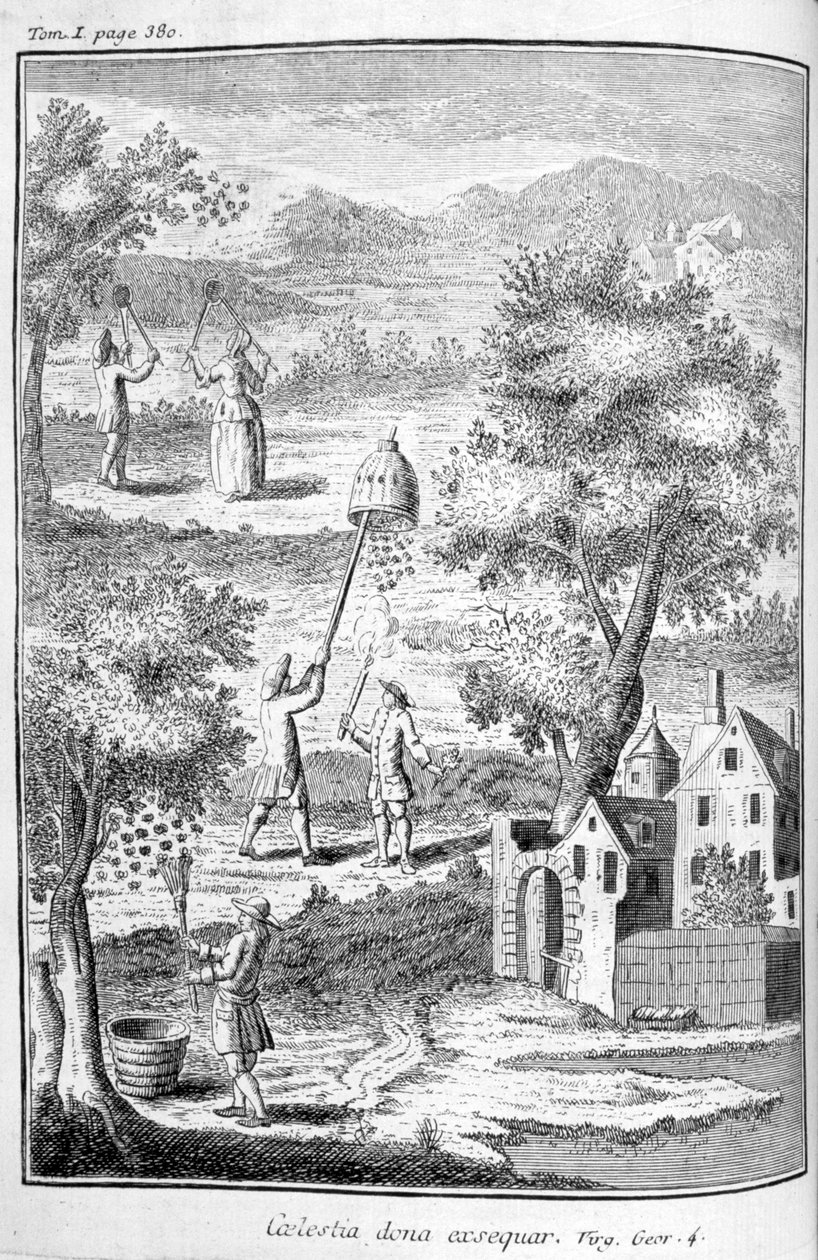 Včelařství, 1775 od Unbekannt