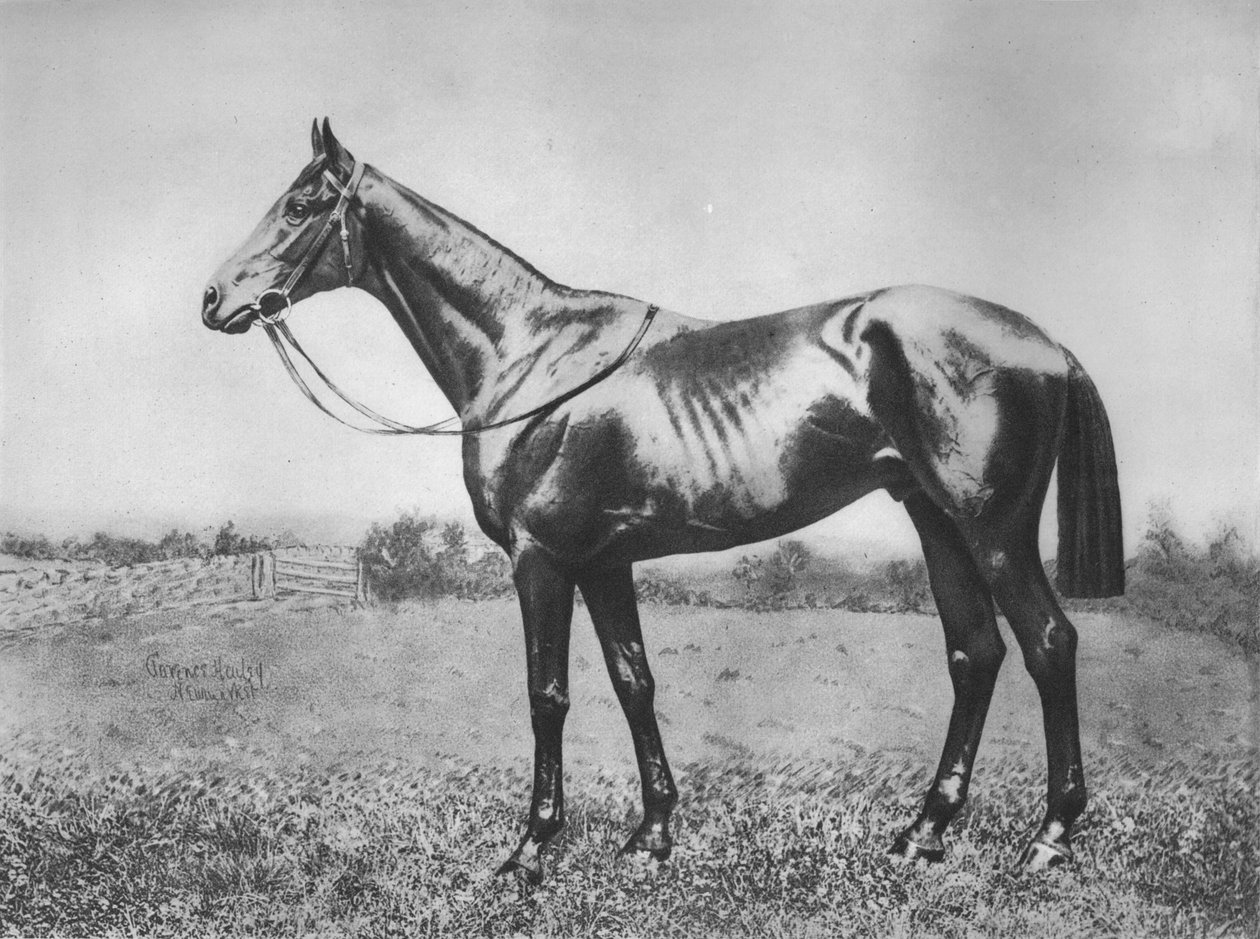 Černý šíp, 1911 od Unbekannt