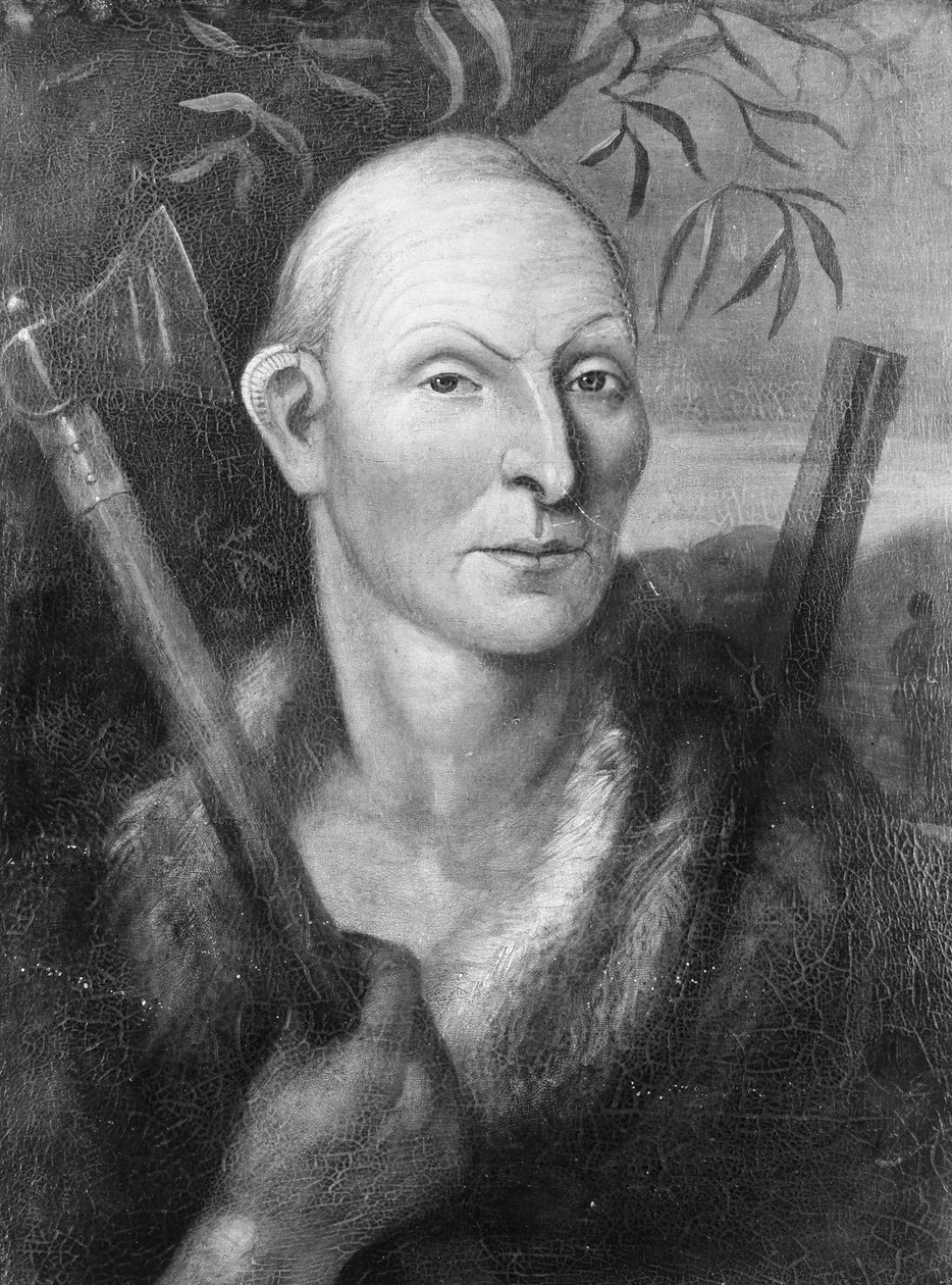 Černý jestřáb, 1800-1850. od Unbekannt