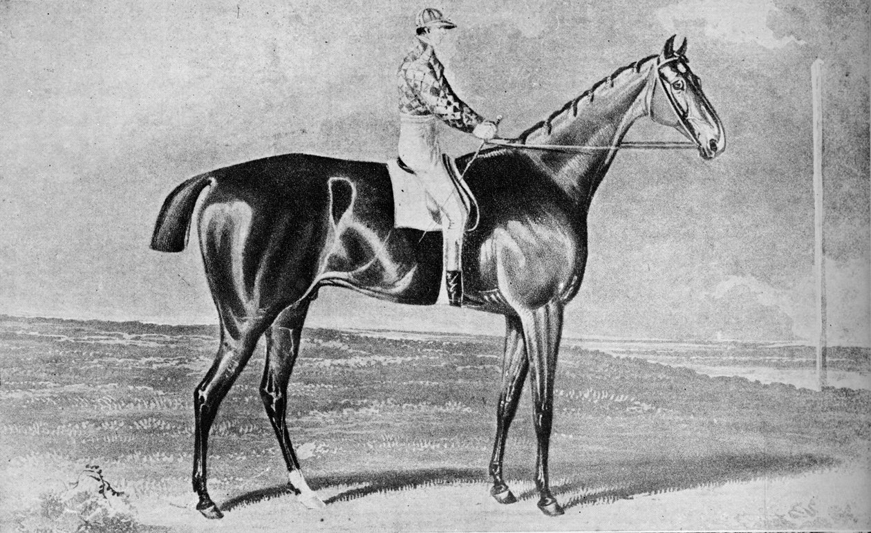 Blacklock, 1814-1831, 1911 od Unbekannt
