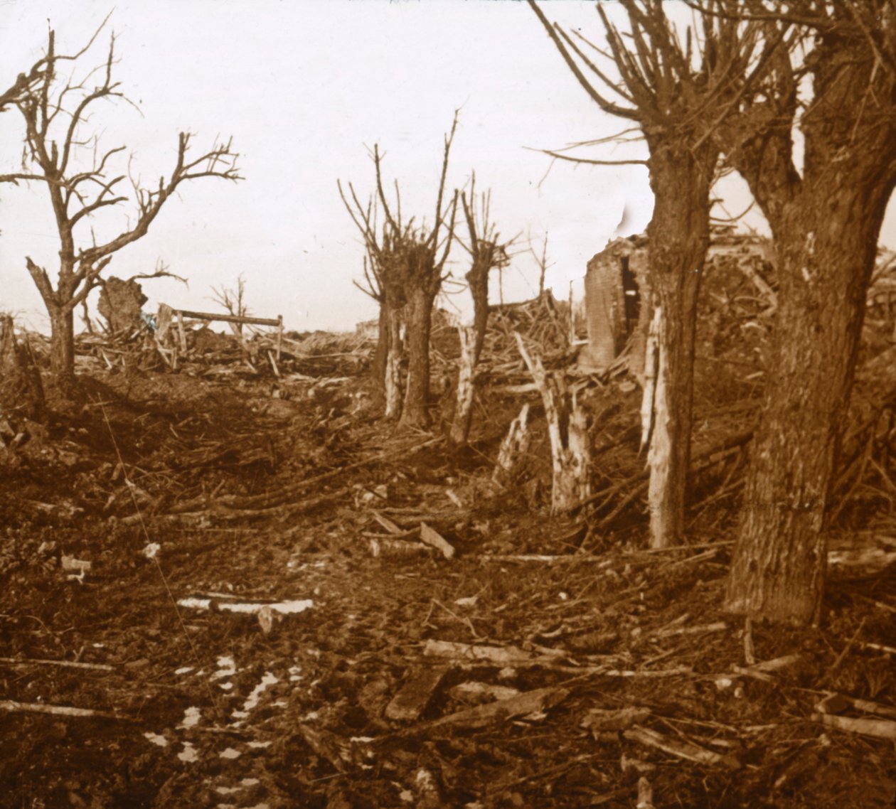 Rozrušená krajina, Belloy-en-Santerre, severní Francie, c1914-c1918 od Unbekannt