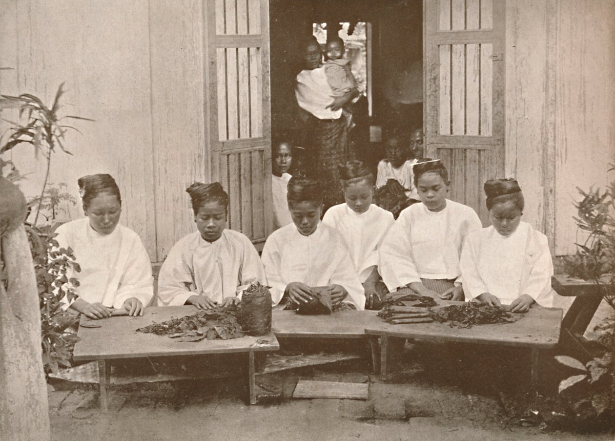 Barmští výrobci doutníků, 1900. od Unbekannt