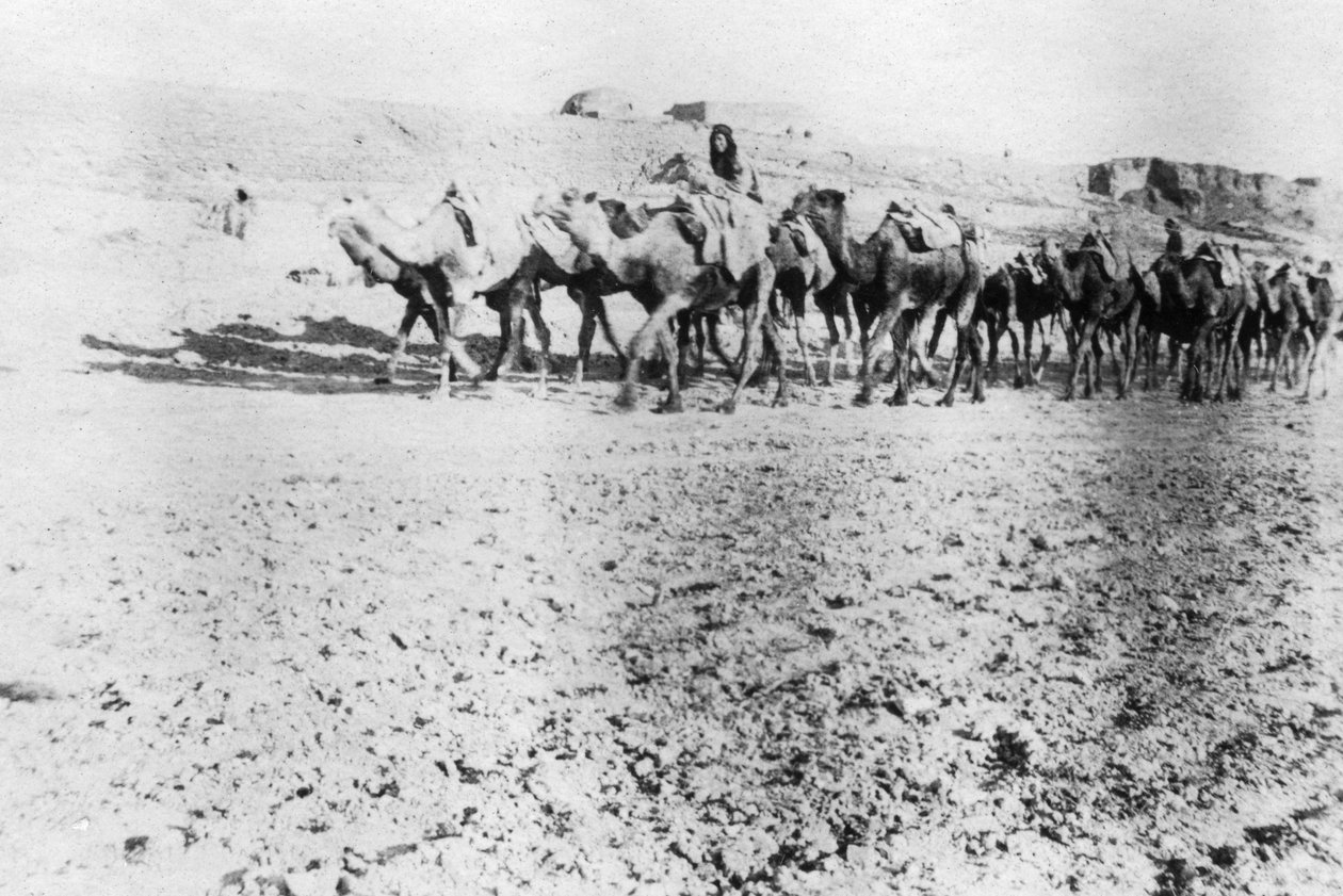 Velbloudí vlak, Mosul, Mezopotámie, 1918 od Unbekannt