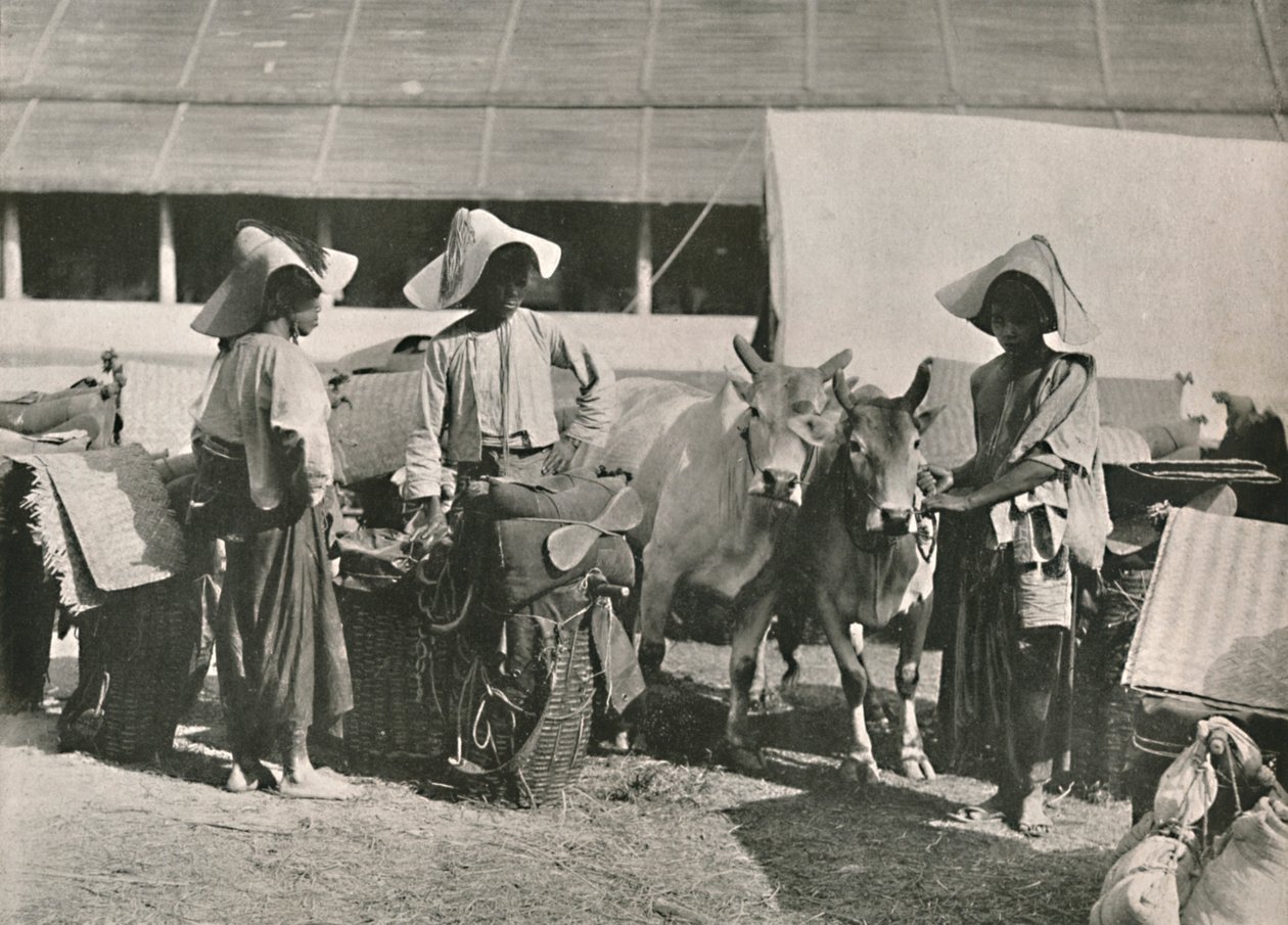 Karavanní scéna se Shans v Bhamo, 1900. od Unbekannt