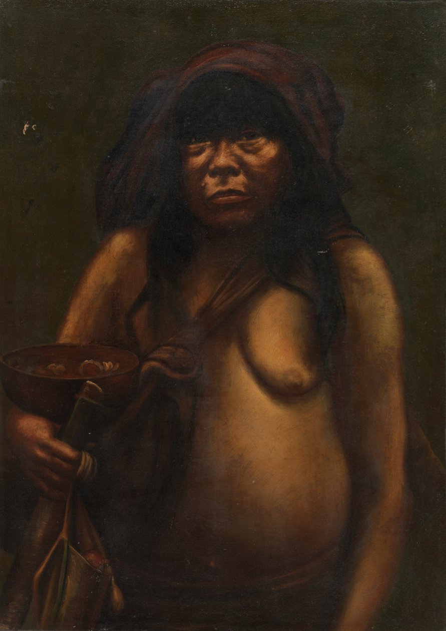 Cashivo Woman, ca. 1890-1892. od Unbekannt