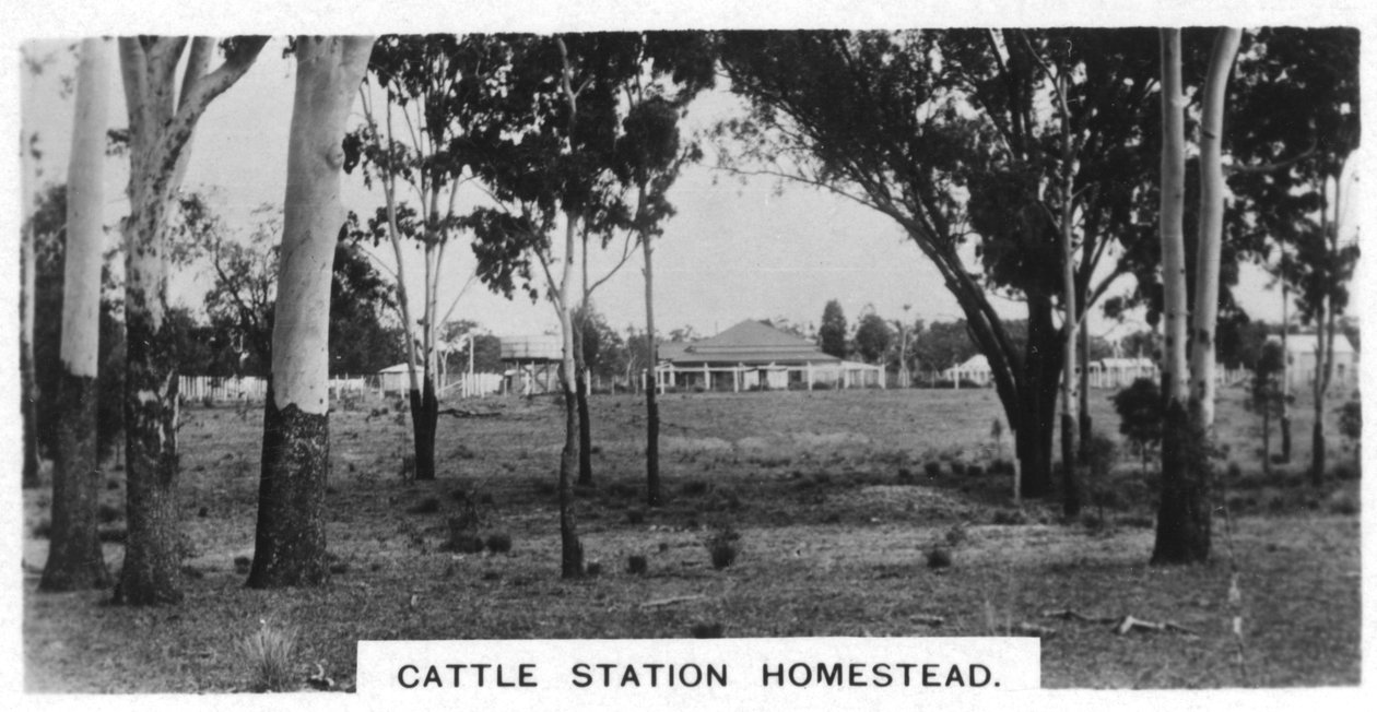 Usedlost Cattle Station, Austrálie, 1928 od Unbekannt