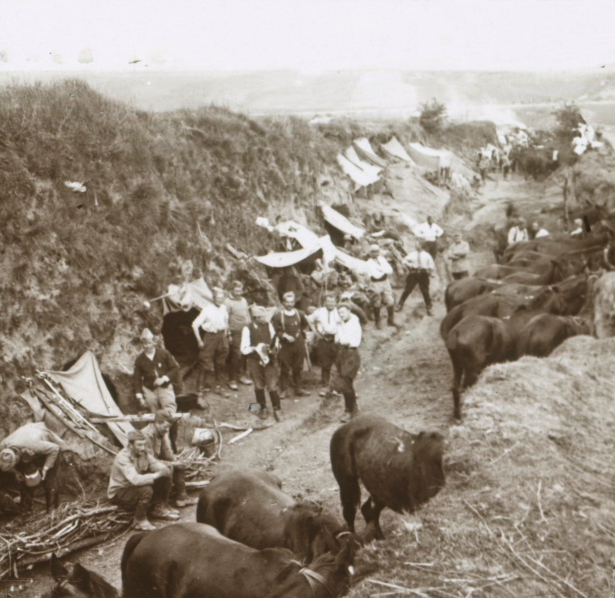 Kavalérie, c1914-c1918 od Unbekannt