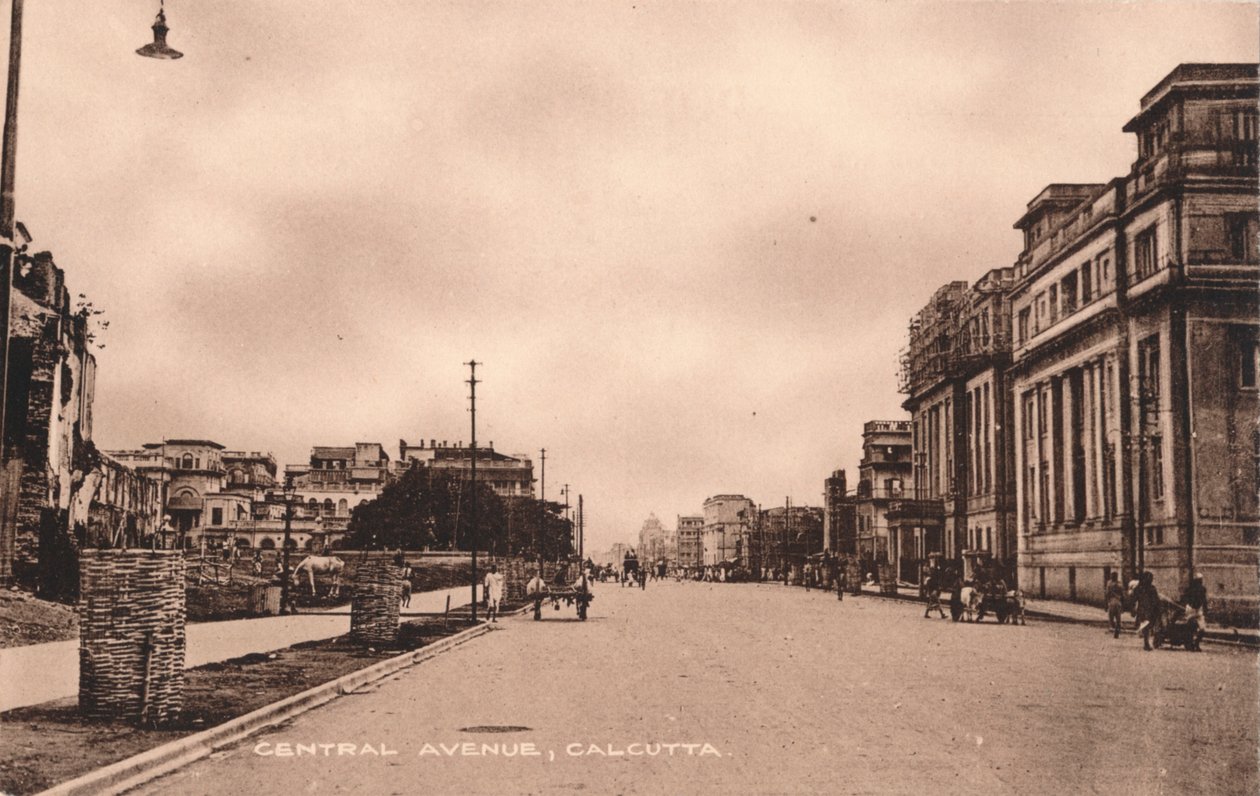 Central Avenue, Kalkata, c1900 od Unbekannt