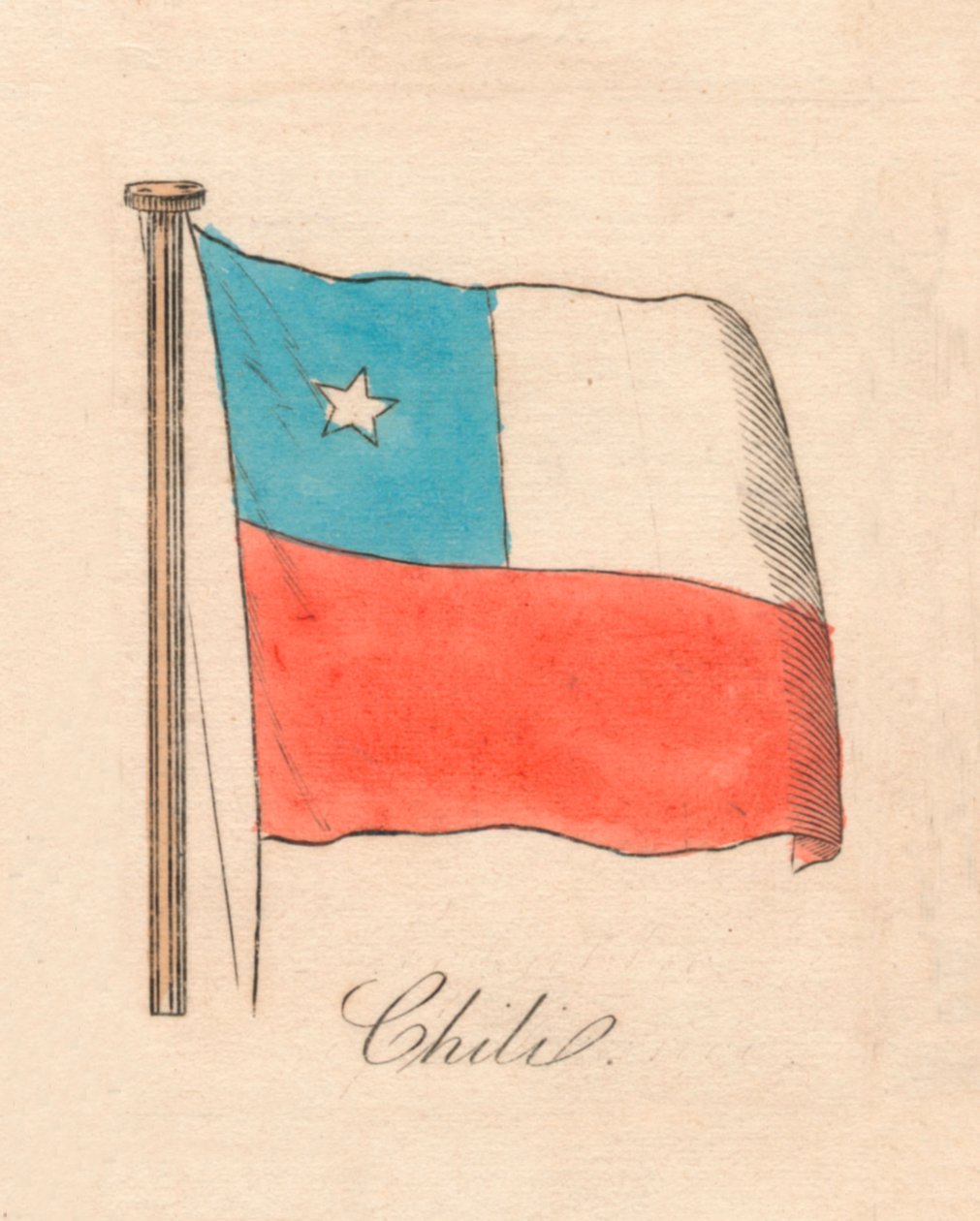 Chilli, 1838 od Unbekannt